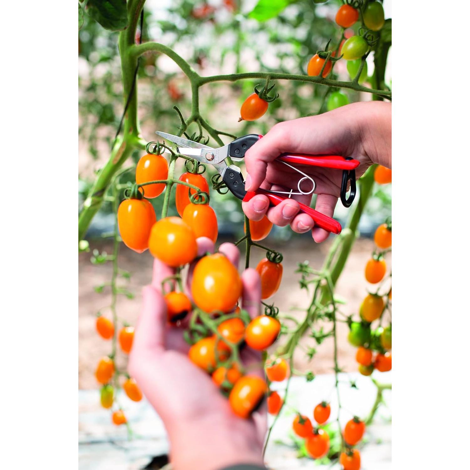 Tijeras de Podar FELCO 322 - 25 cm Acero al Carbono Bypass