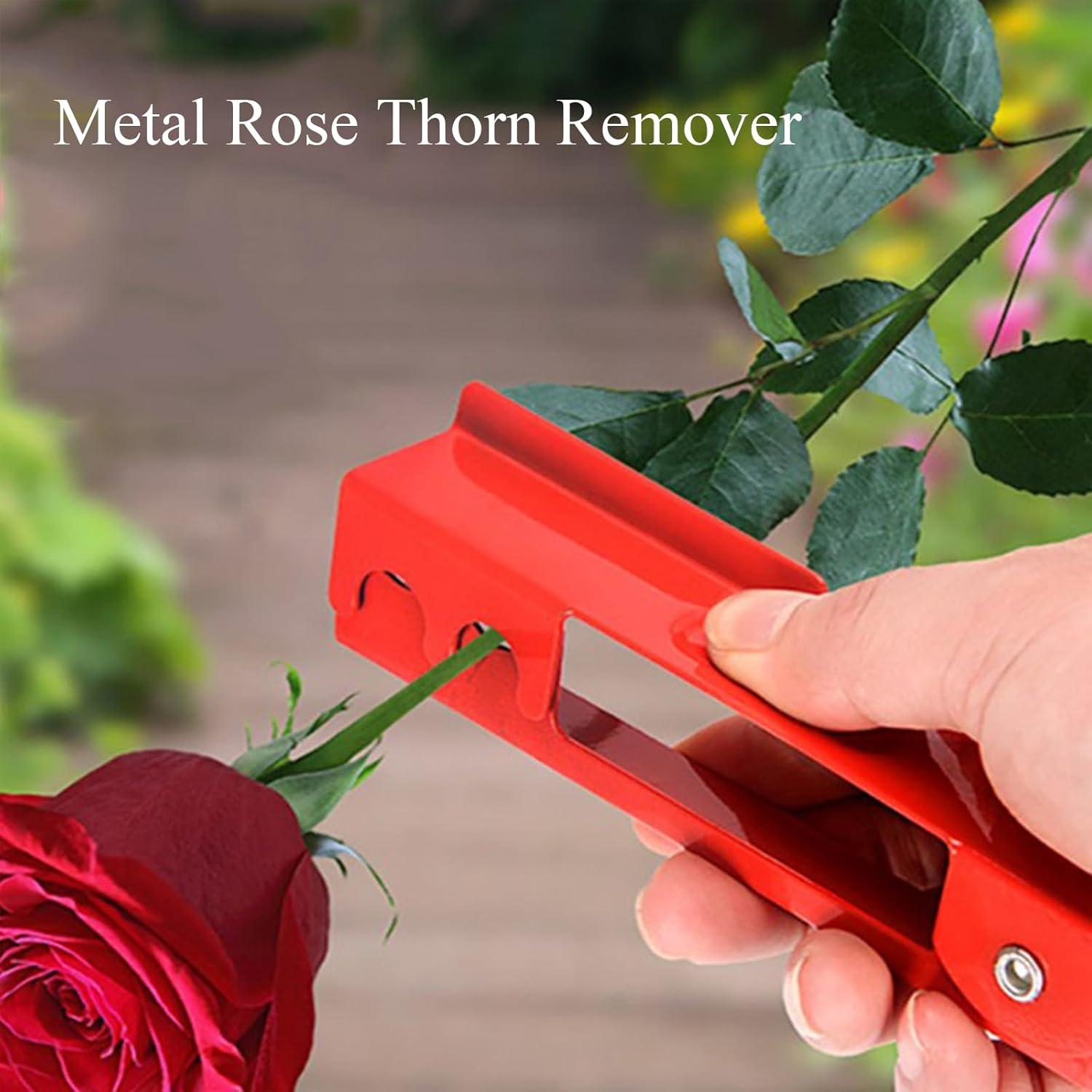 Kit de herramientas para quitar espinas de rosas TINNSANN