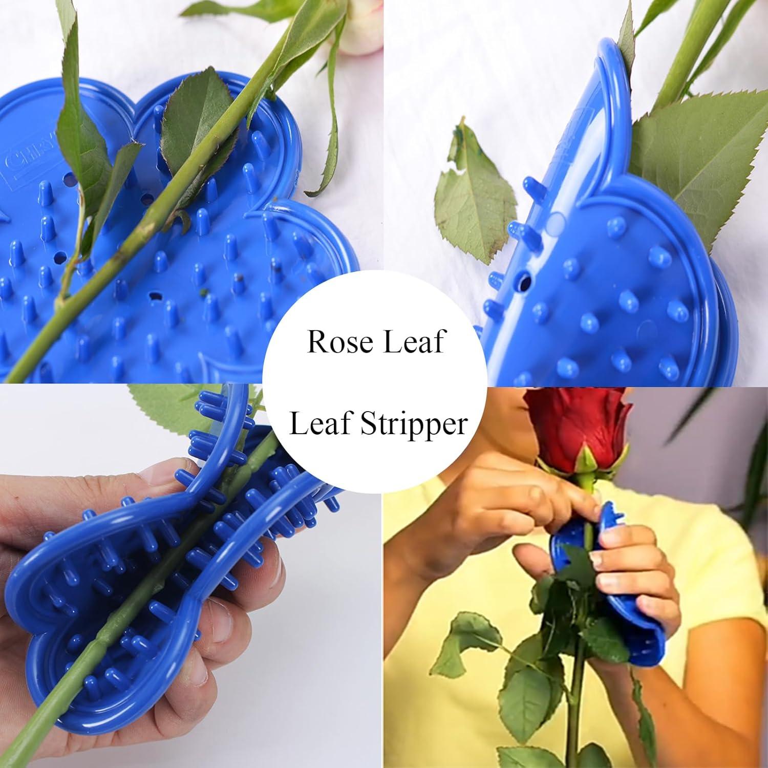 Kit de herramientas para quitar espinas de rosas TINNSANN