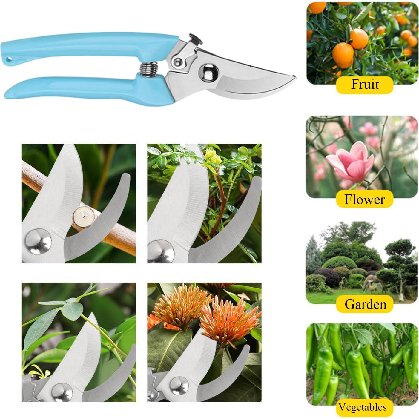 Kit de herramientas para quitar espinas de rosas TINNSANN