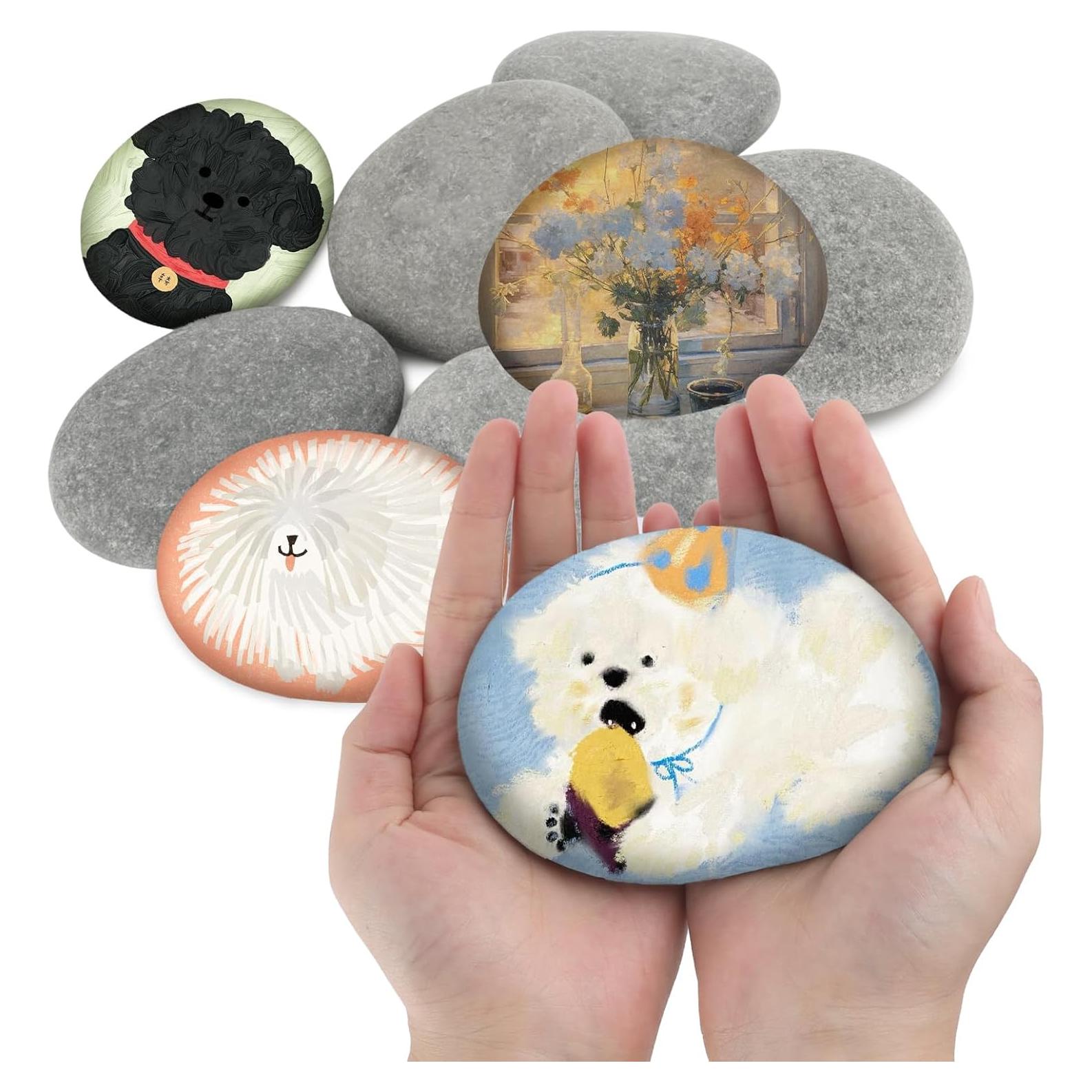 20 Pcs Piedras de Río Pintables LANIAKEA 7.6-12.7 cm