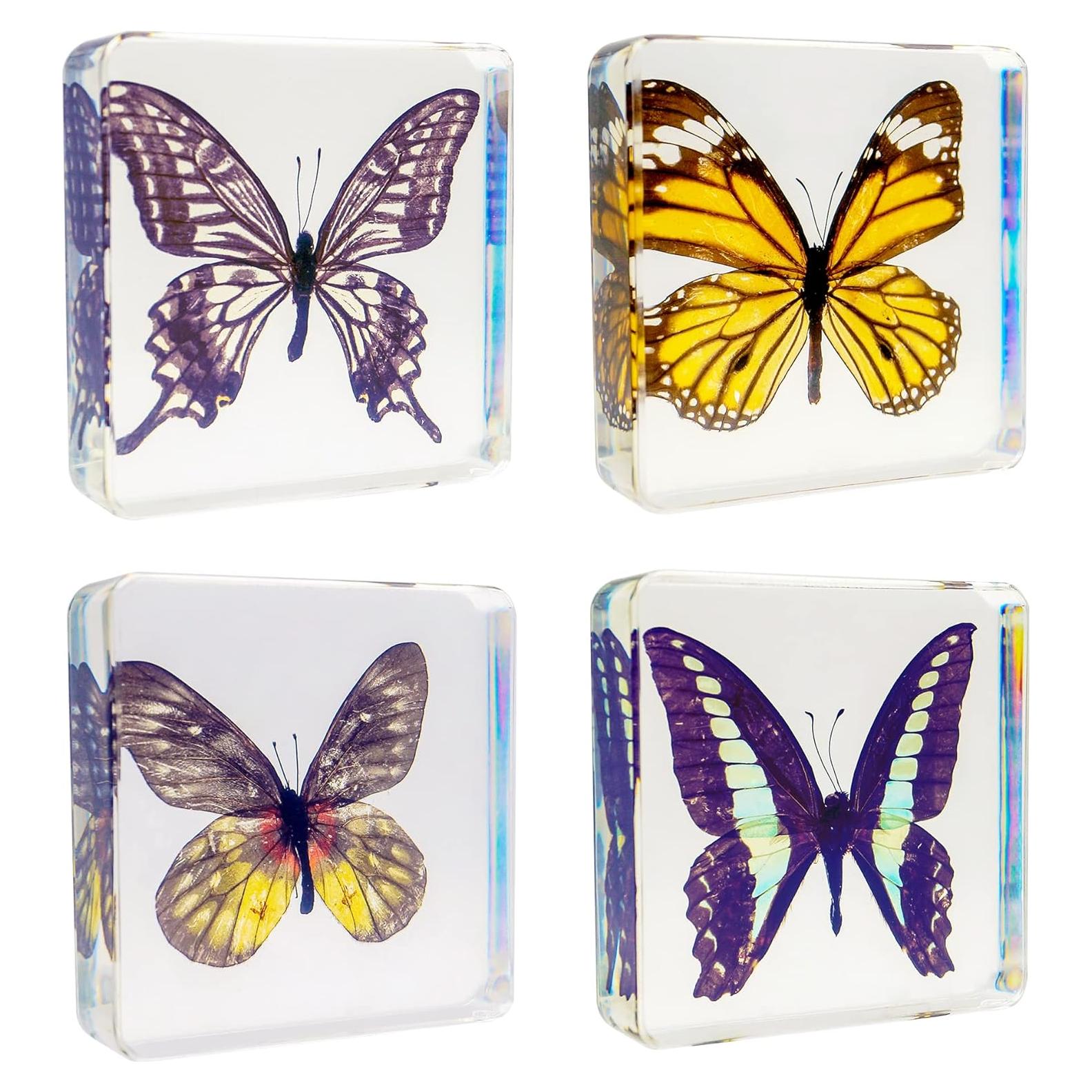 Juego de 4 Especímenes de Mariposas en Resina EJLIFEBOX