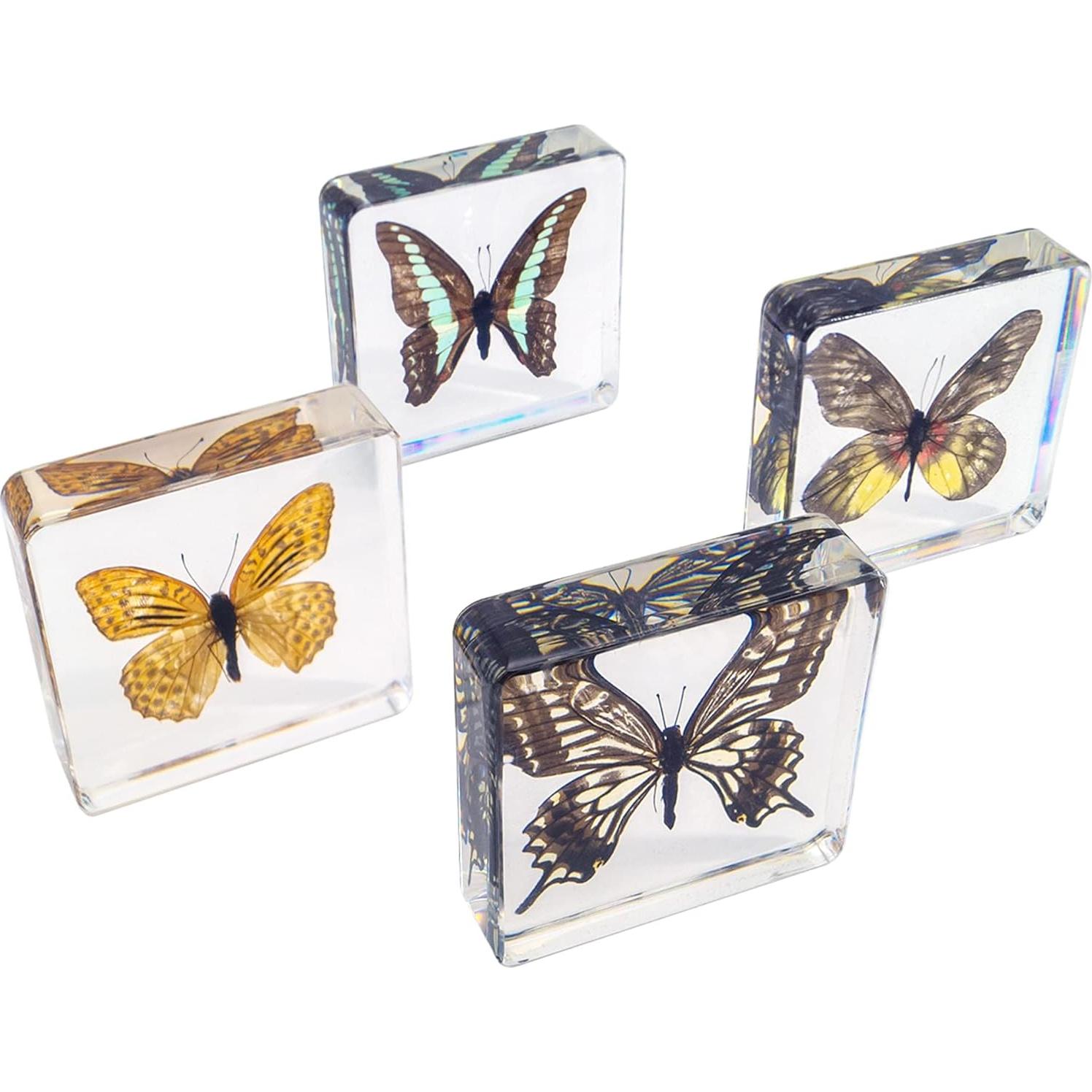 Juego de 4 Especímenes de Mariposas en Resina EJLIFEBOX