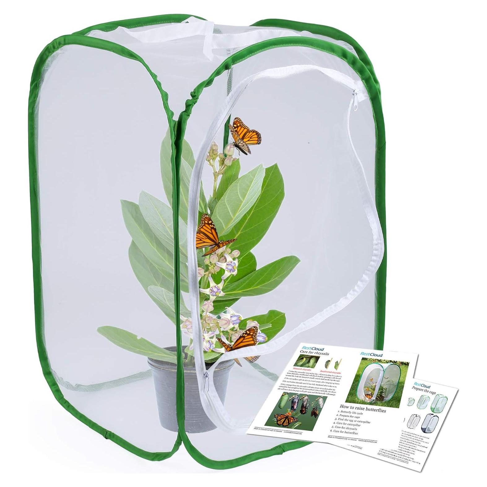 Jaula de Insectos RESTCLOUD 60 cm para Mariposas y Mantis