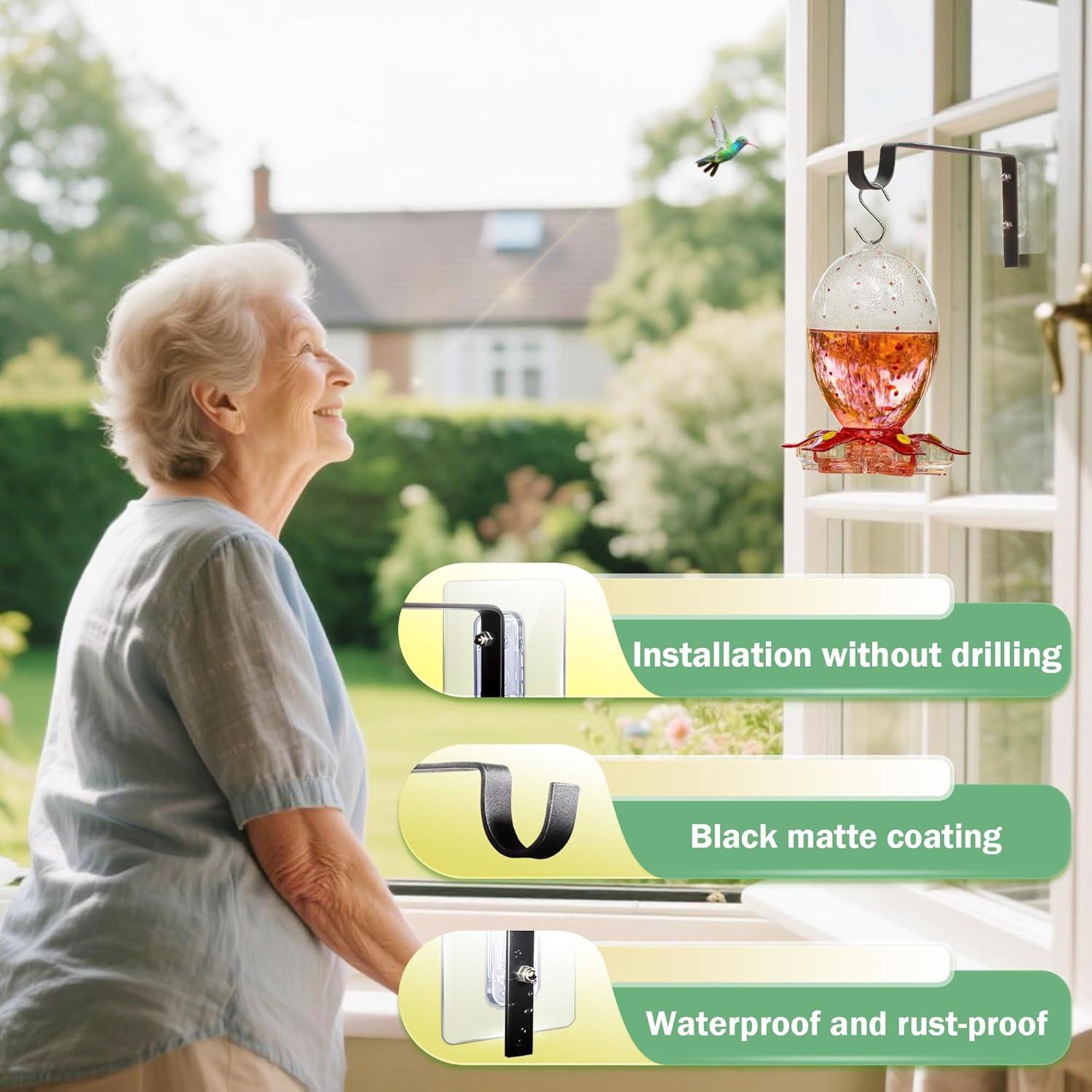 Soporte para Alimentador de Aves en Ventana Qiang Ni - 4 Ganchos