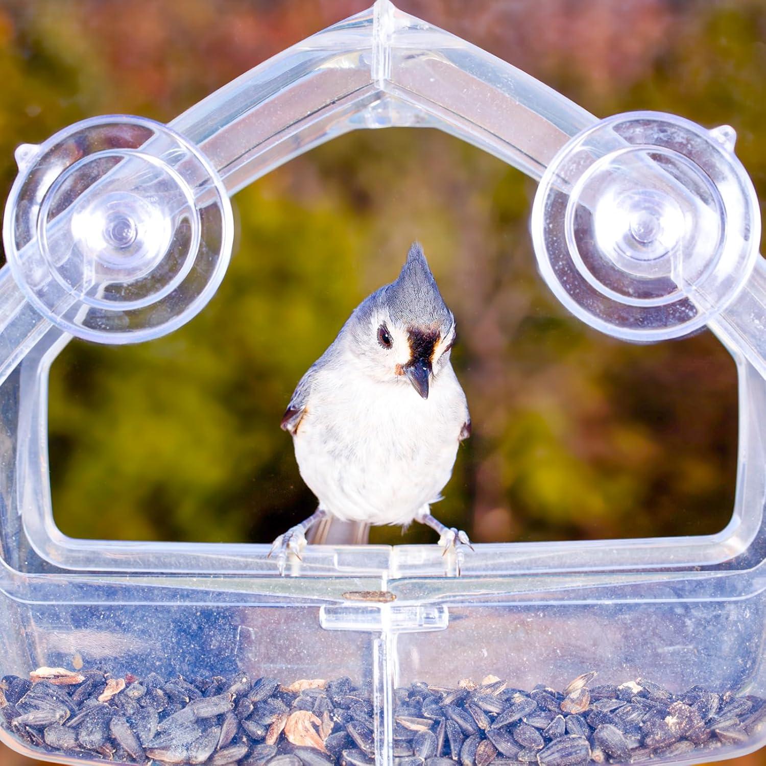 Ventosas de Repuesto para Alimentador de Aves DaoHeight - Paquete de 5