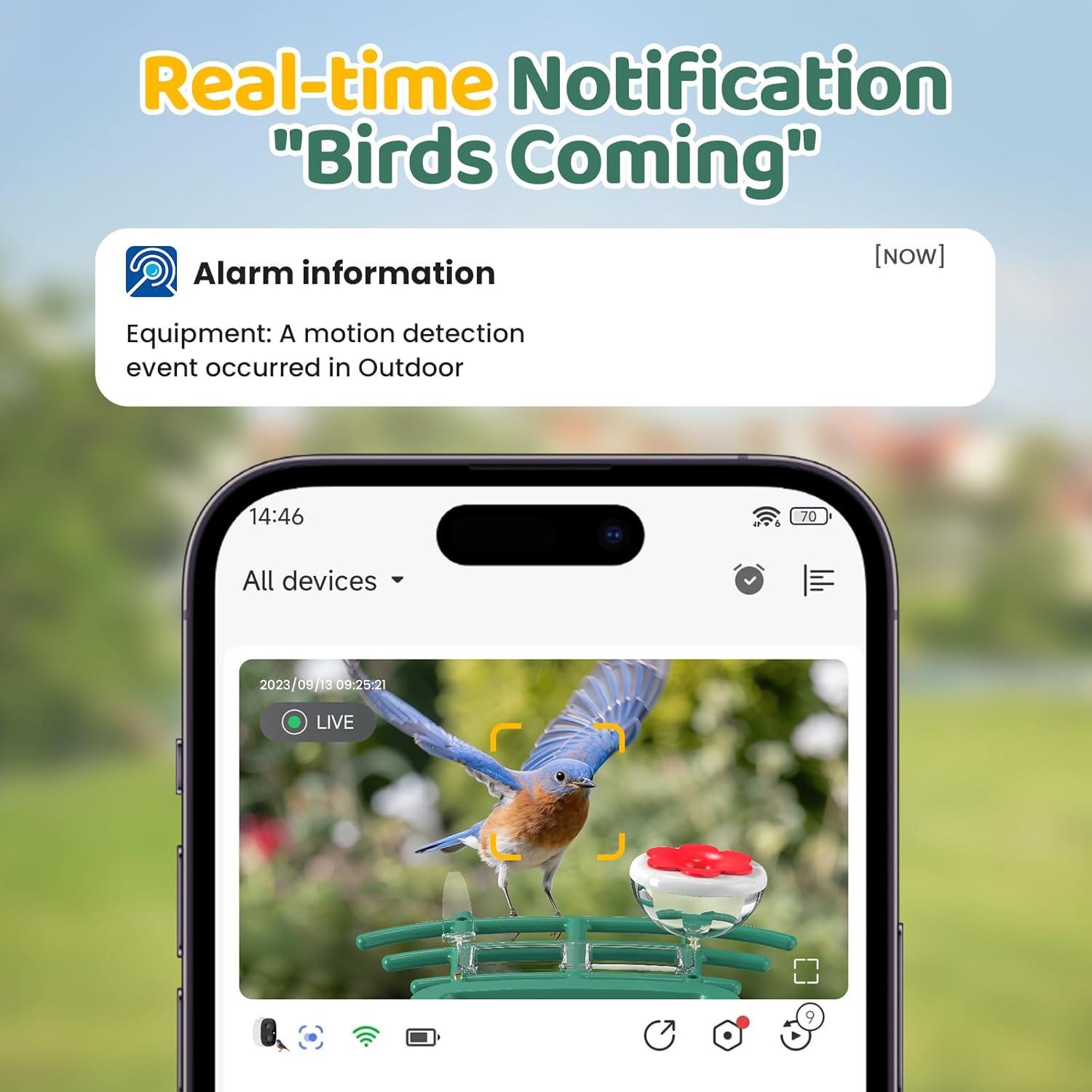 Comedero Inteligente para Aves VIMKIM con Cámara Solar 2K HD