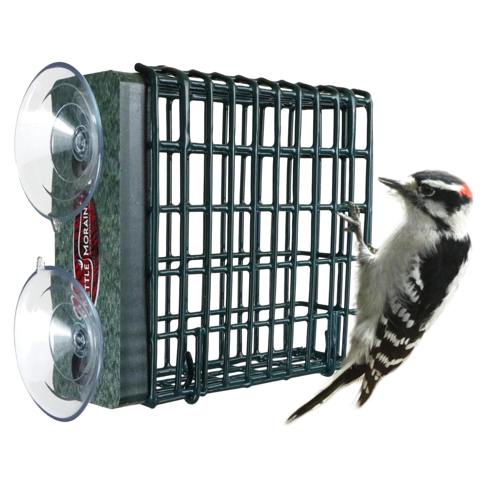 Alimentador de Aves Kettle Moraine para Sucuet en Ventana