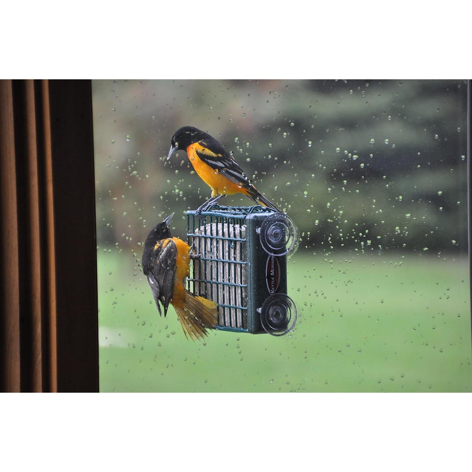 Alimentador de Aves Kettle Moraine para Sucuet en Ventana