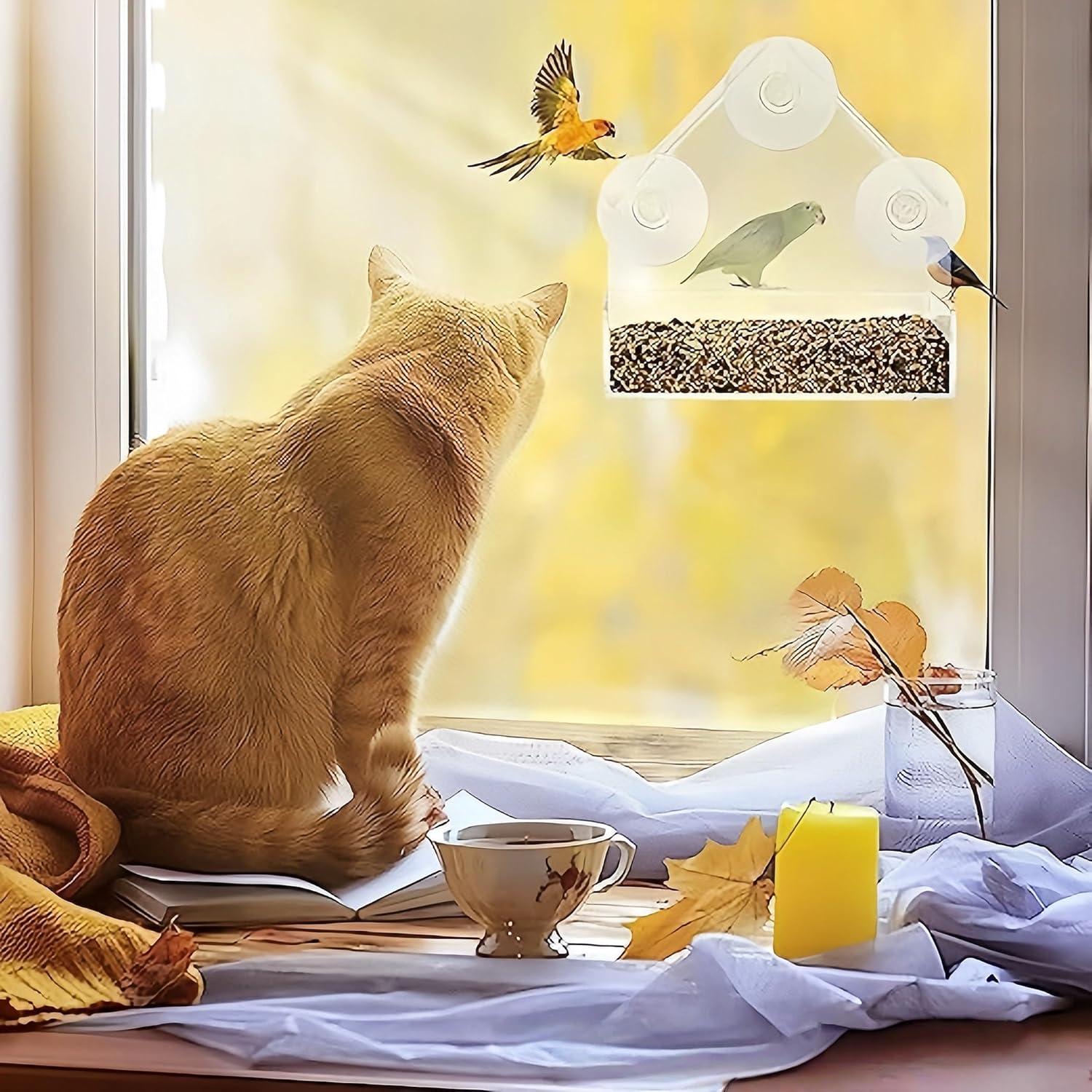 2 Comederos para Aves de Ventana Magnoloran Acrílico 15x15cm