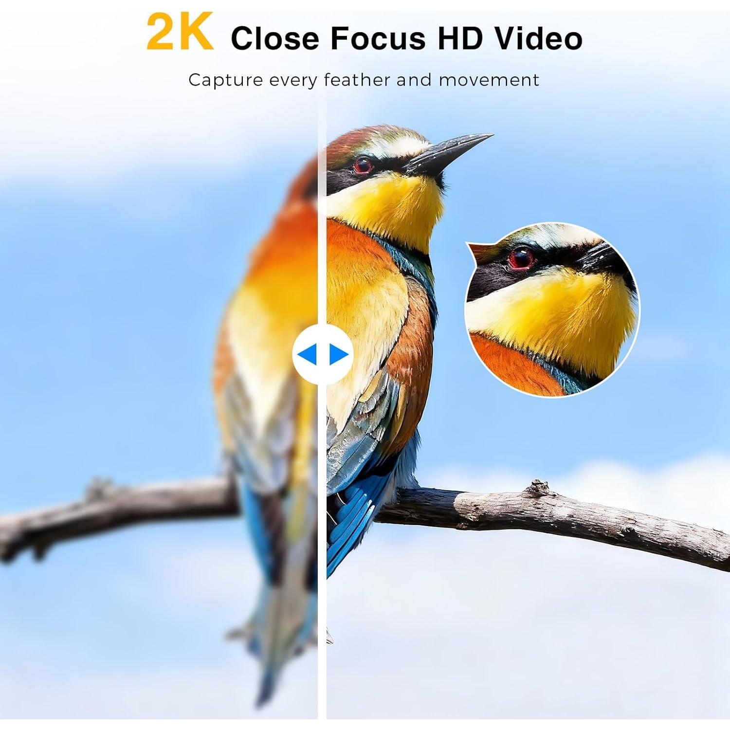 Cámara de Observación de Aves 2K HD Vigytek con Ventosa