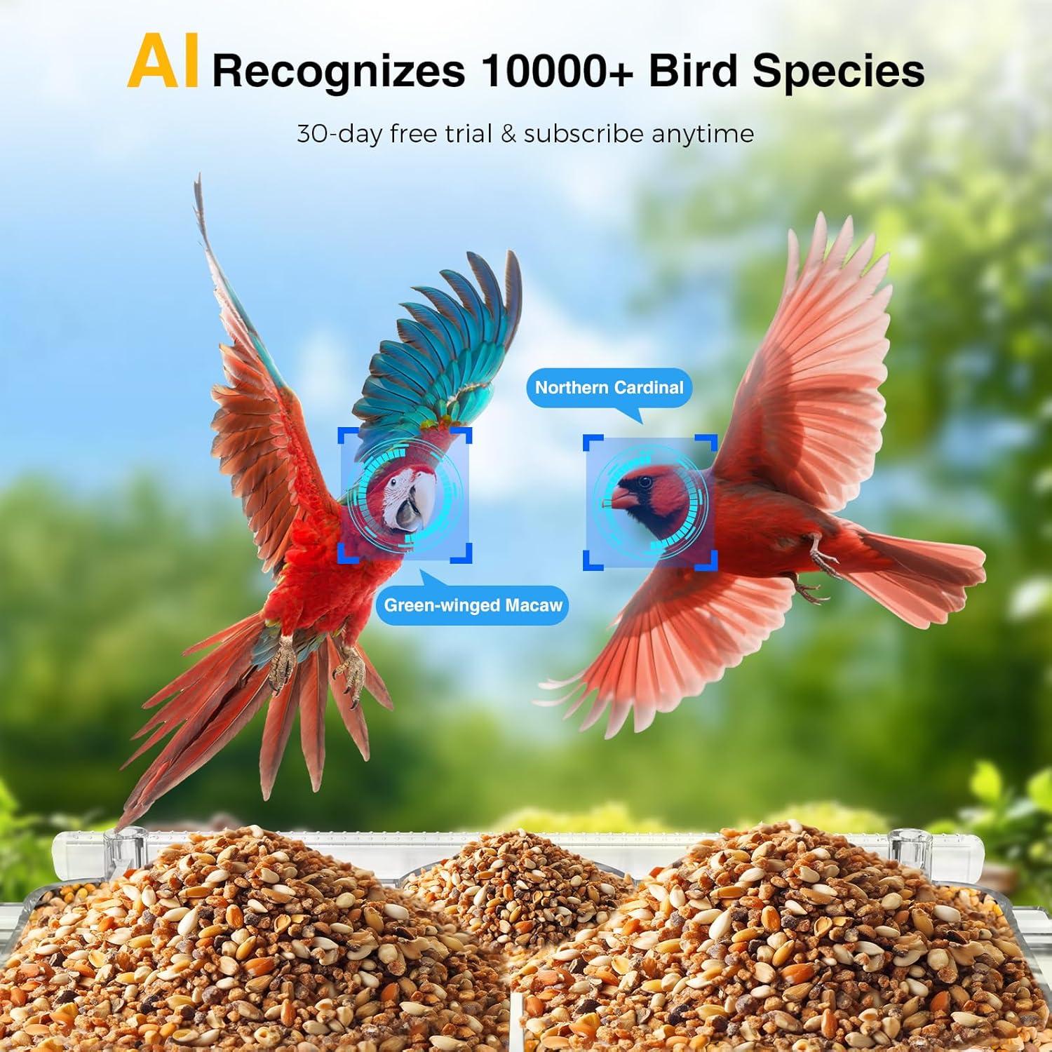 Cámara de Observación de Aves 2K HD Vigytek con Ventosa