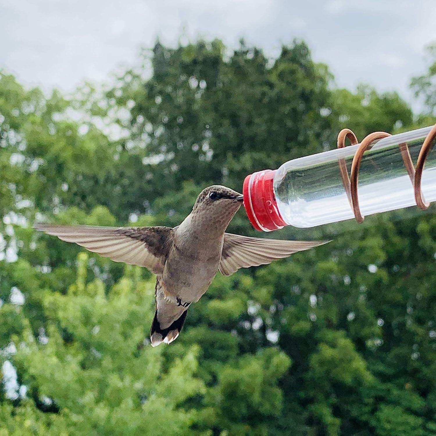 Comedero para Colibríes de Ventana Cobre 2 Botellas 3 Estaciones