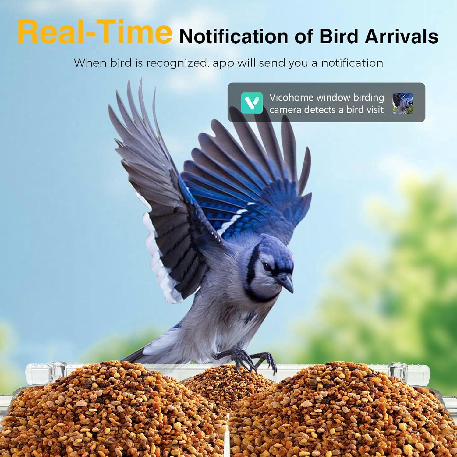 Cámara de Observación de Pájaros Vigytek 2K HD con Ventosa