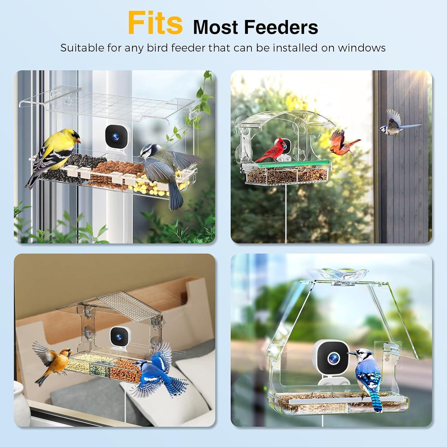 Cámara de Alimentador de Aves Vigytek 2K HD con Ventosa y SD 32GB