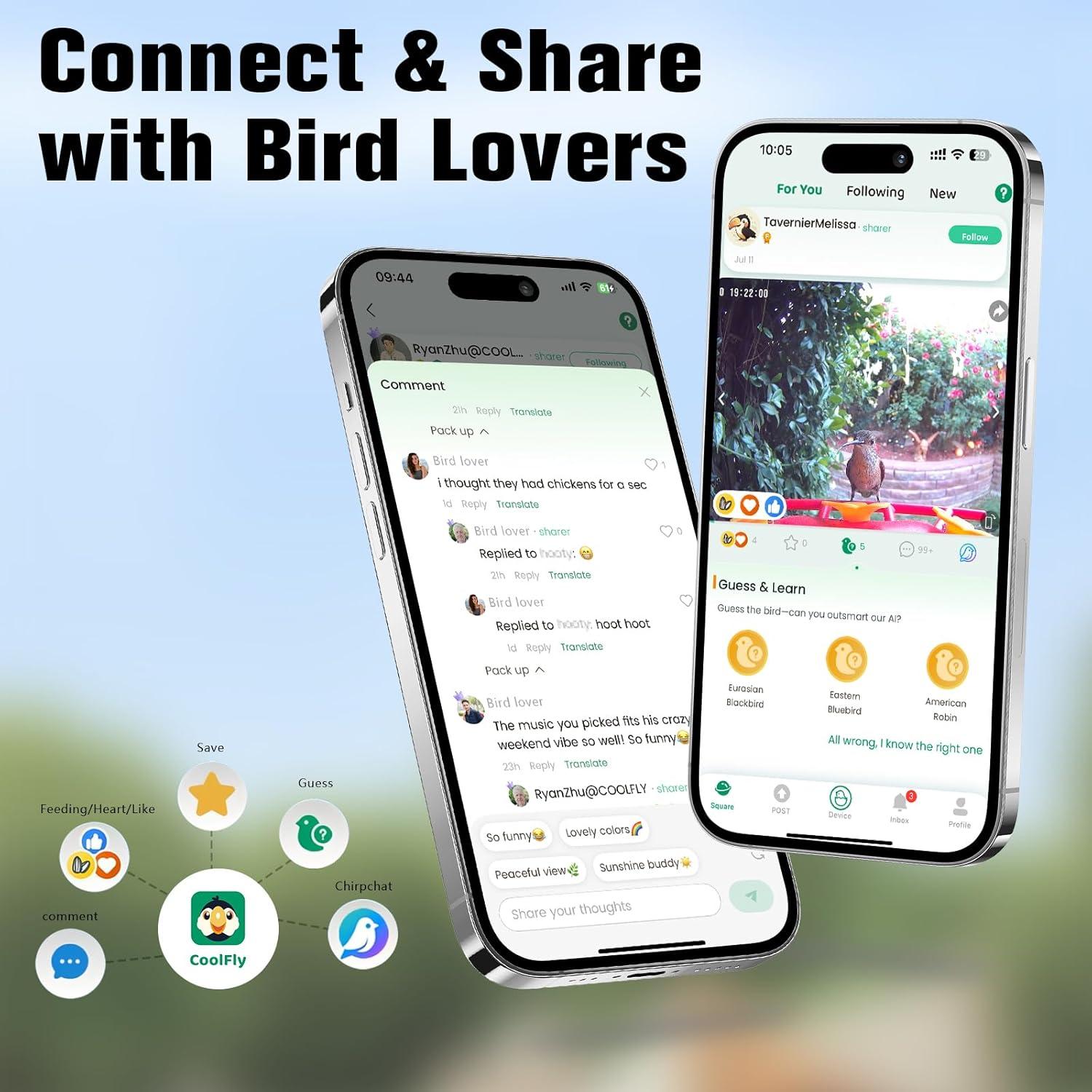 Cámara de Alimentador de Aves Vigytek 2K HD con Ventosa y SD 32GB