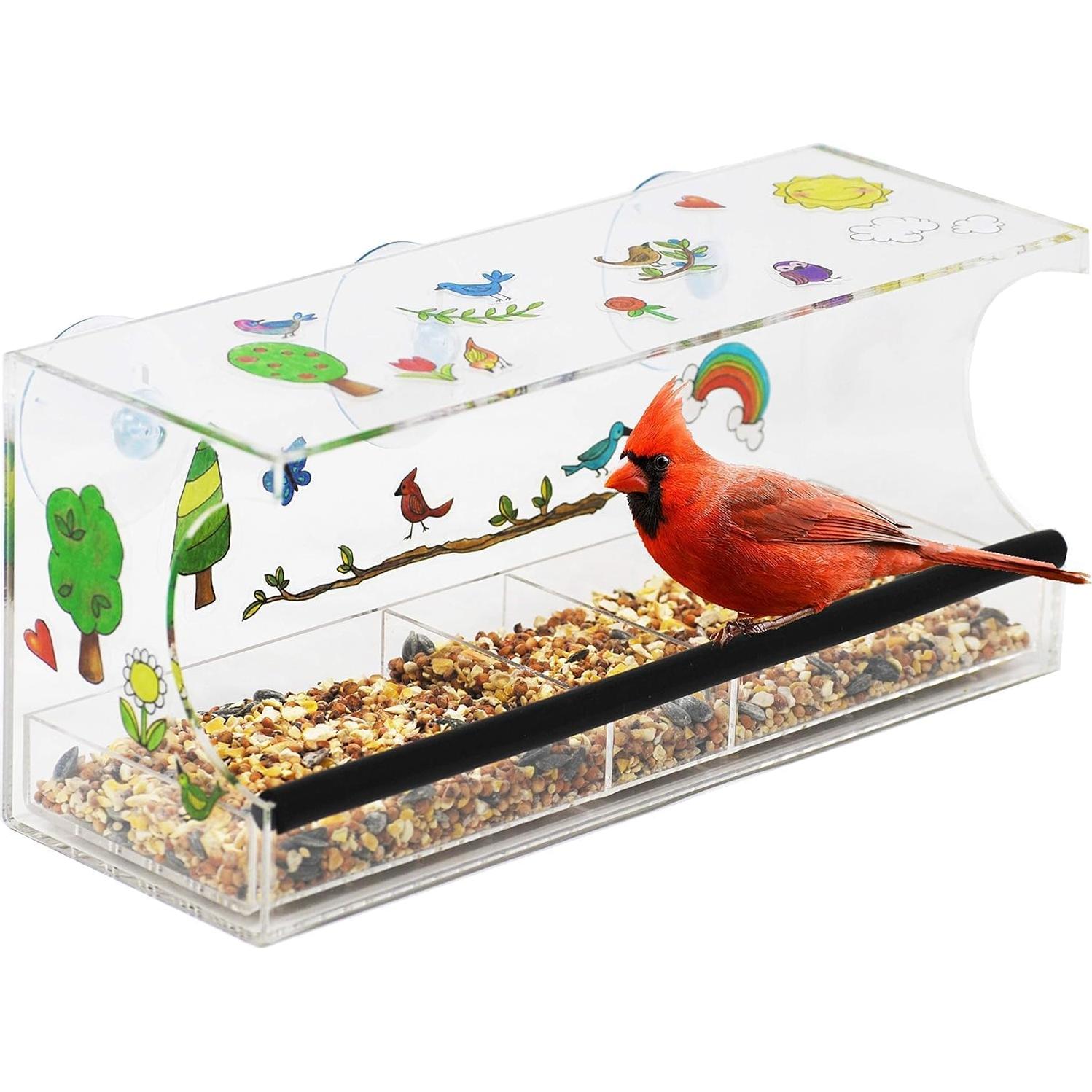 Kit Comedero de Aves para Ventana Hapinest - 170g Semillas