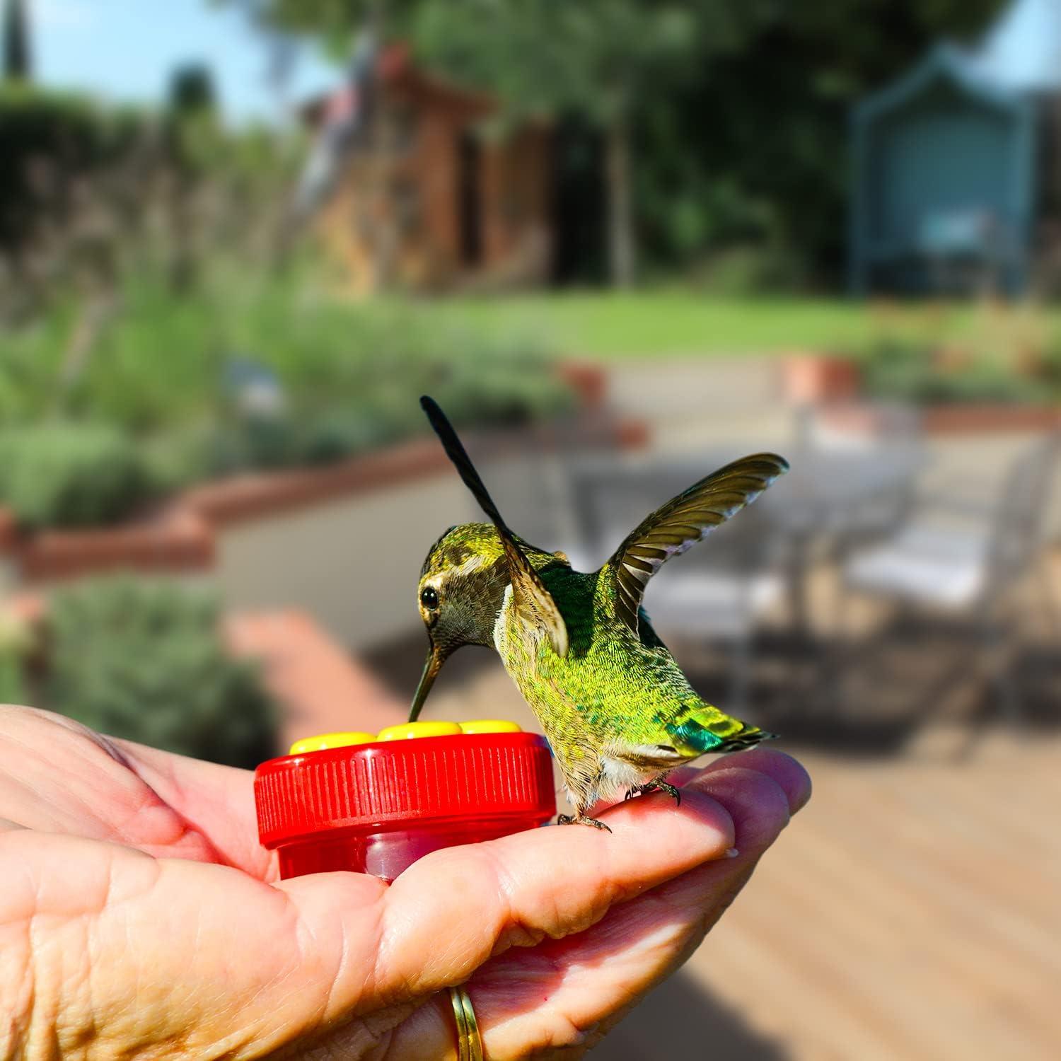 Alimentador de Colibrí de Mano ZHBDMGK 4 Piezas con Cepillo