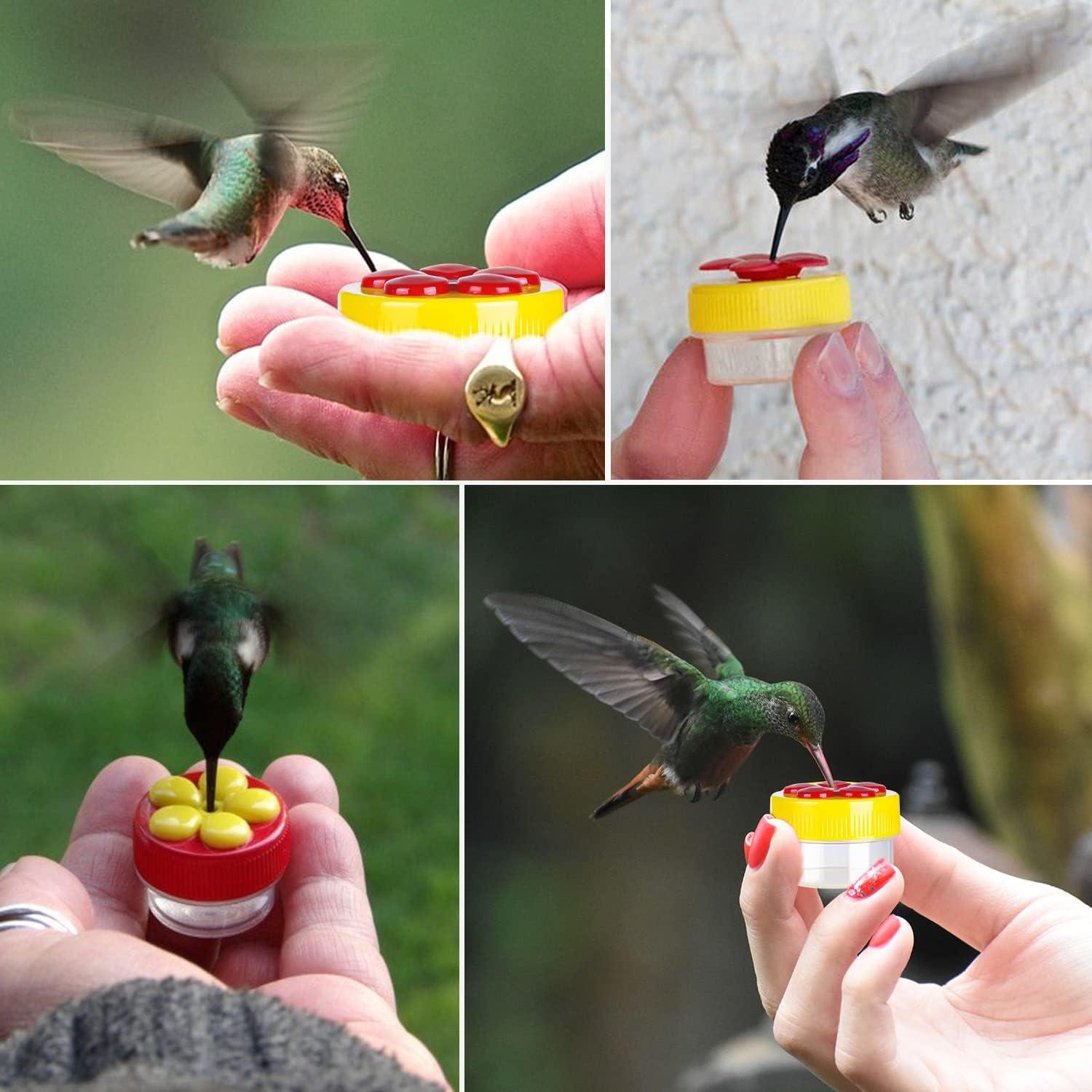 Alimentador de Colibrí de Mano ZHBDMGK 4 Piezas con Cepillo
