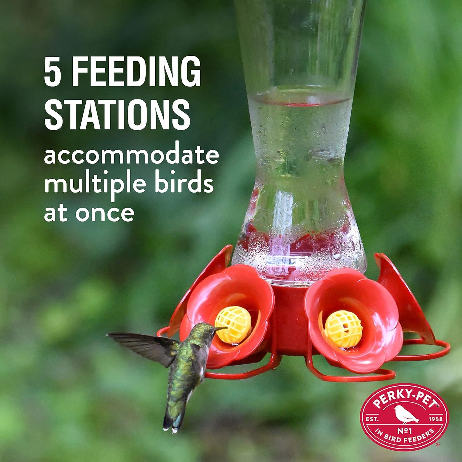 Alimentador de Colibríes Perky-Pet 204CP-4 Vidrio 473 ml