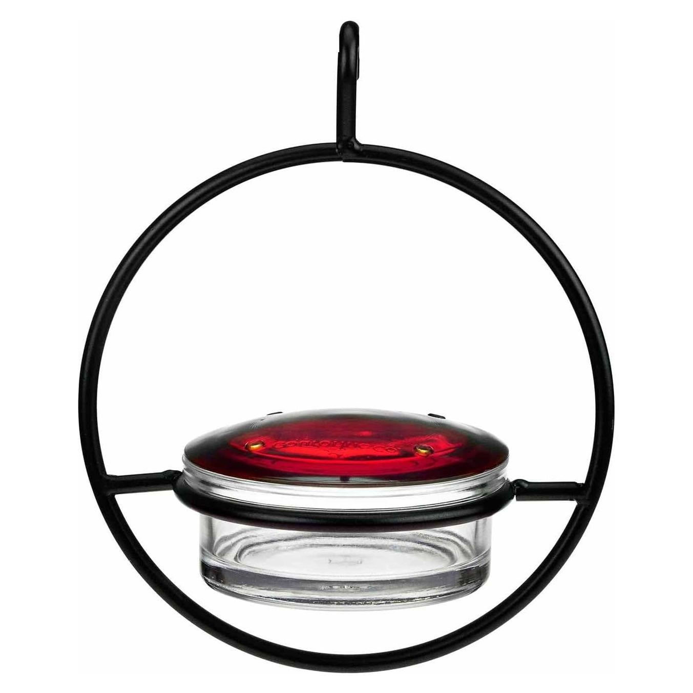 Alimentador de Colibríes Hummble Slim 100 ml Vidrio Transparente