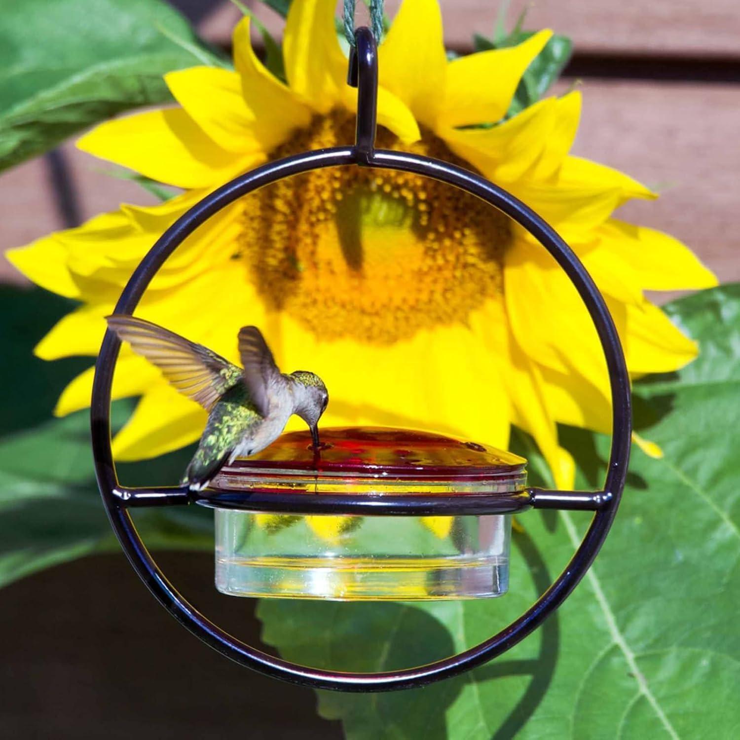 Alimentador de Colibríes Hummble Slim 100 ml Vidrio Transparente