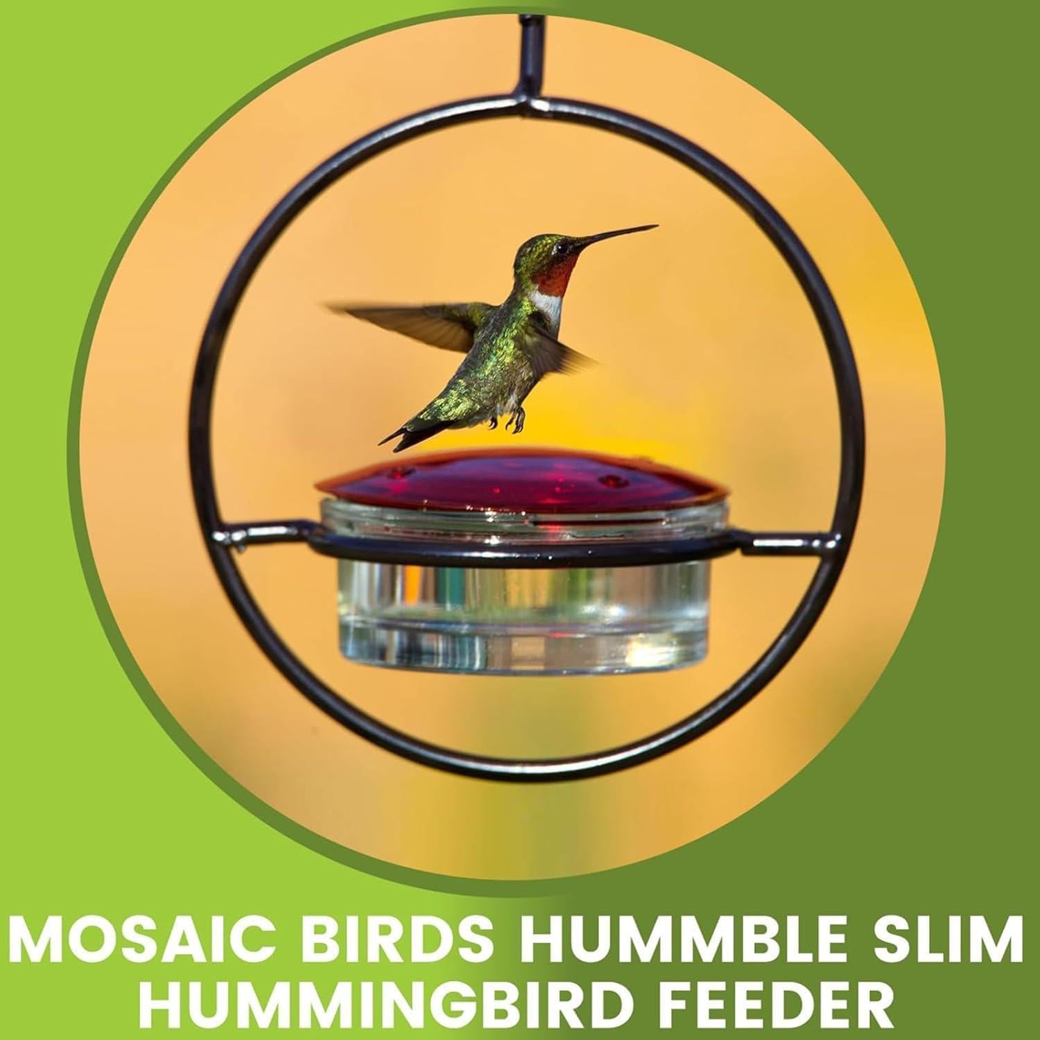 Alimentador de Colibríes Hummble Slim 100 ml Vidrio Transparente