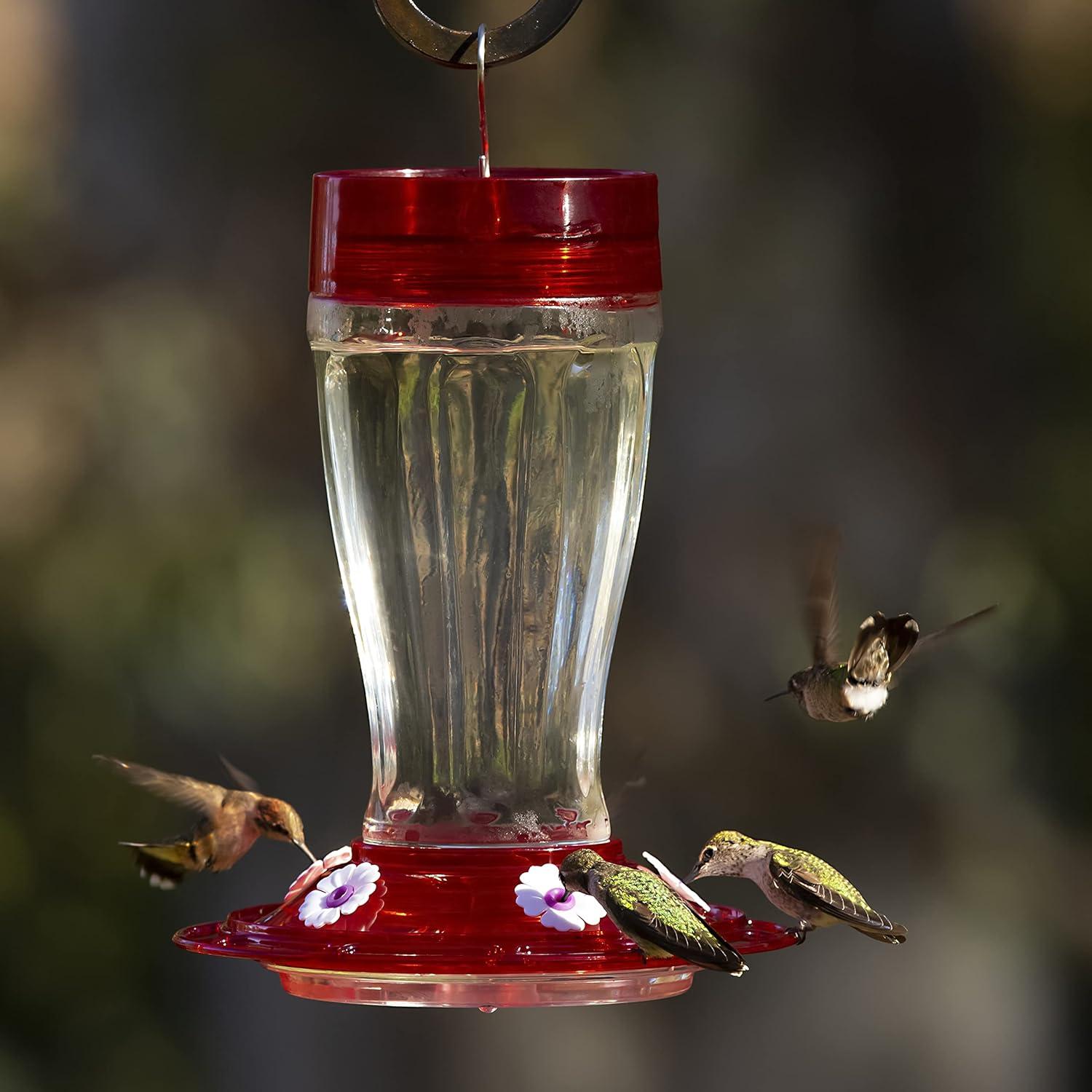 Alimentador de Colibríes More Birds Big Gulp 1.18L Vidrio Rojo