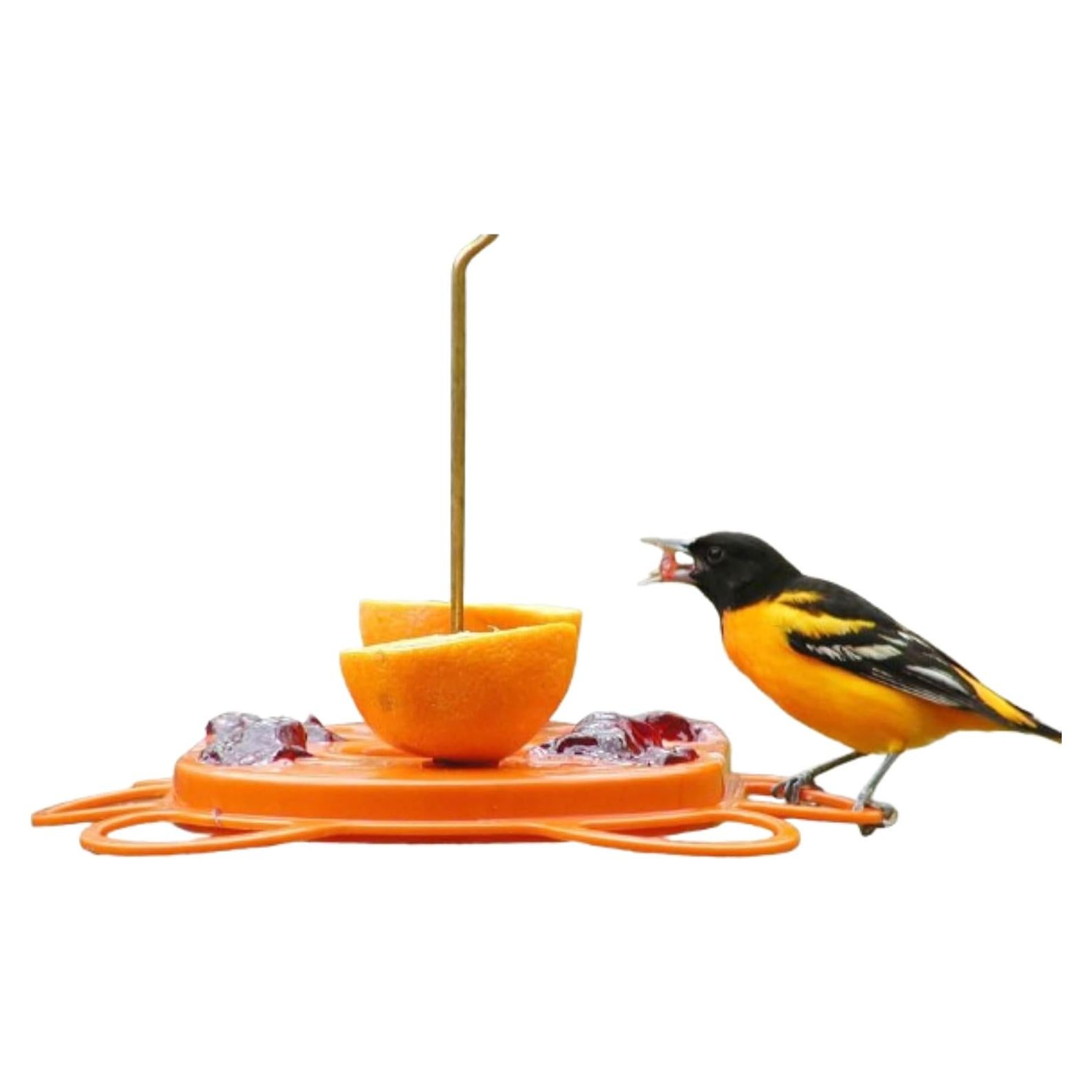 Comedero para Orioles Birds Choice Oriolefest 12 oz Naranja