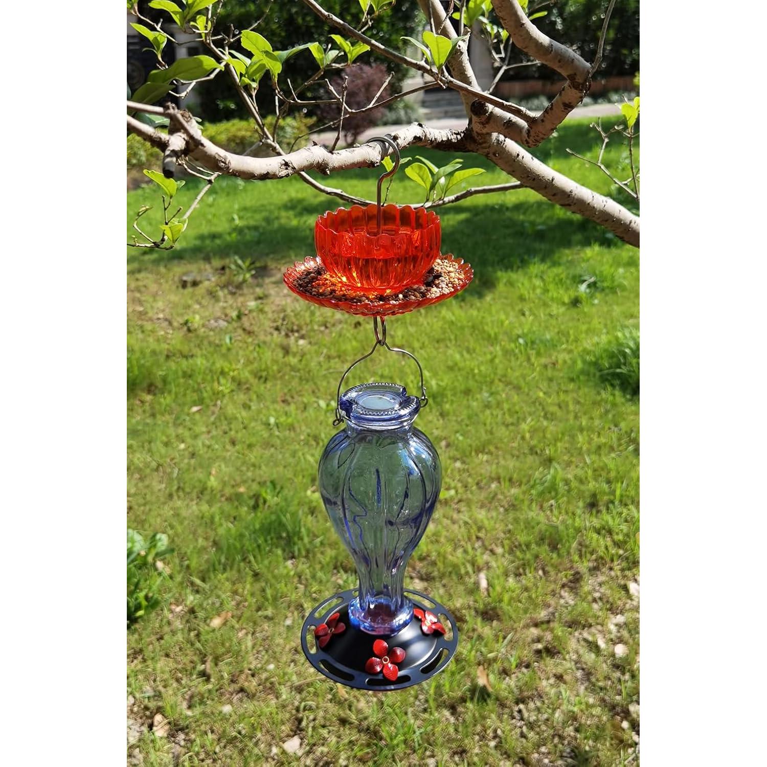 Moat para Hormigas HOLAHOMA Rojo 260ml - Alimentador Colibrí