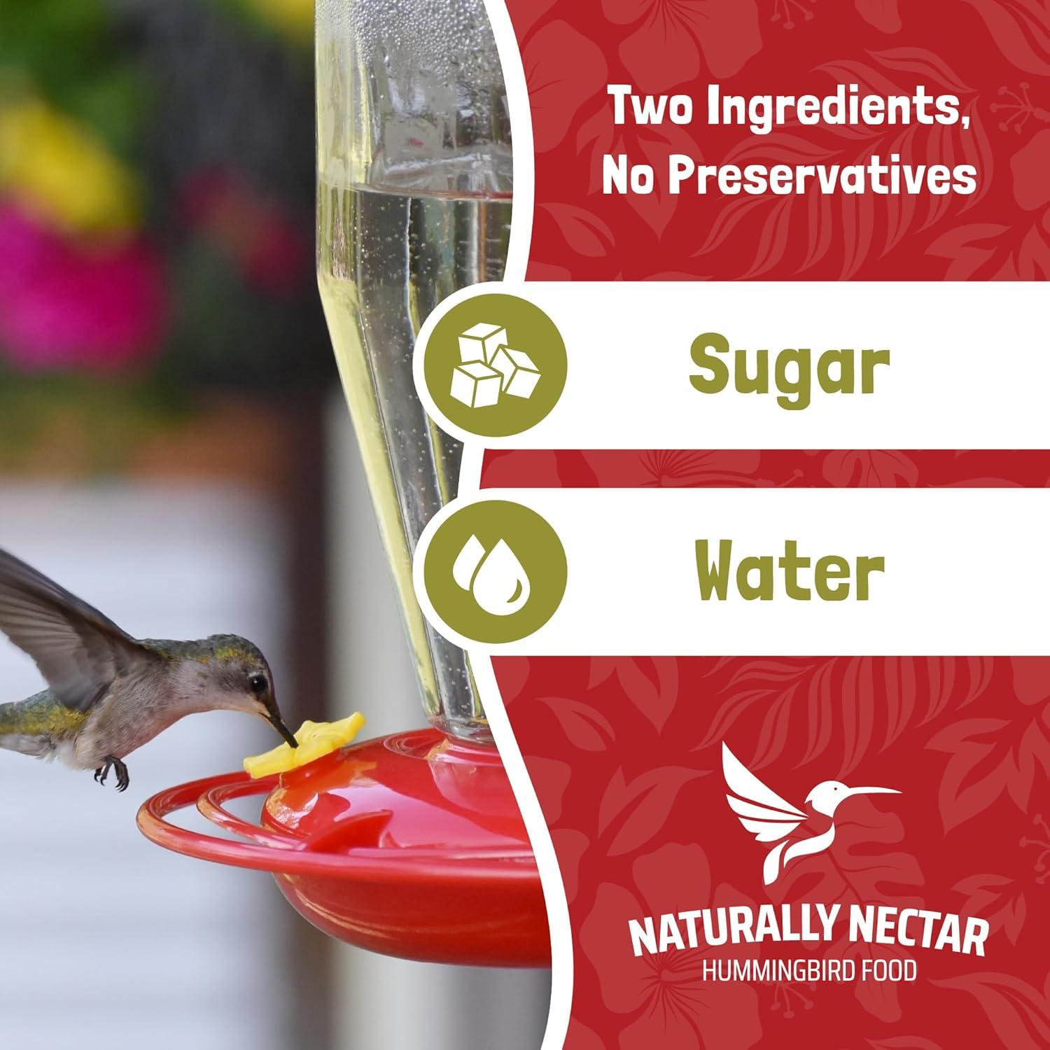 Néctar Puro para Colibríes NÉCTAR NATURAL 473 ml Listo para Usar