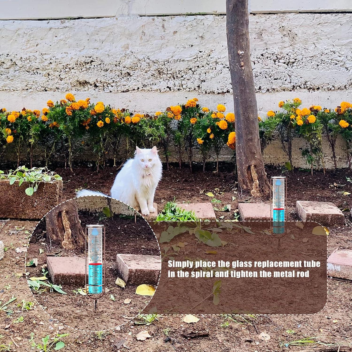 Pluviómetro de Vidrio 17 cm con Estaca y Marco de Metal