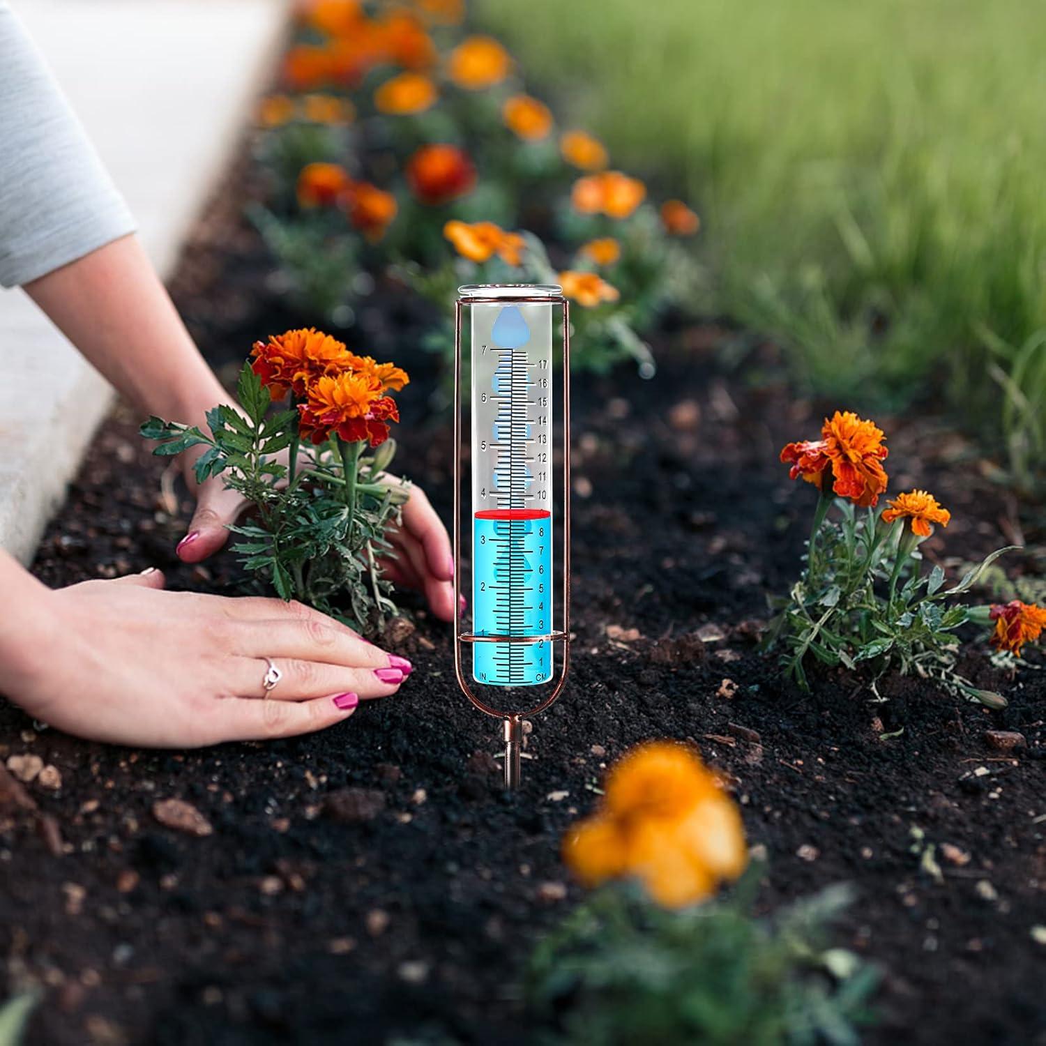 Pluviómetro de Vidrio 17 cm con Estaca y Marco de Metal