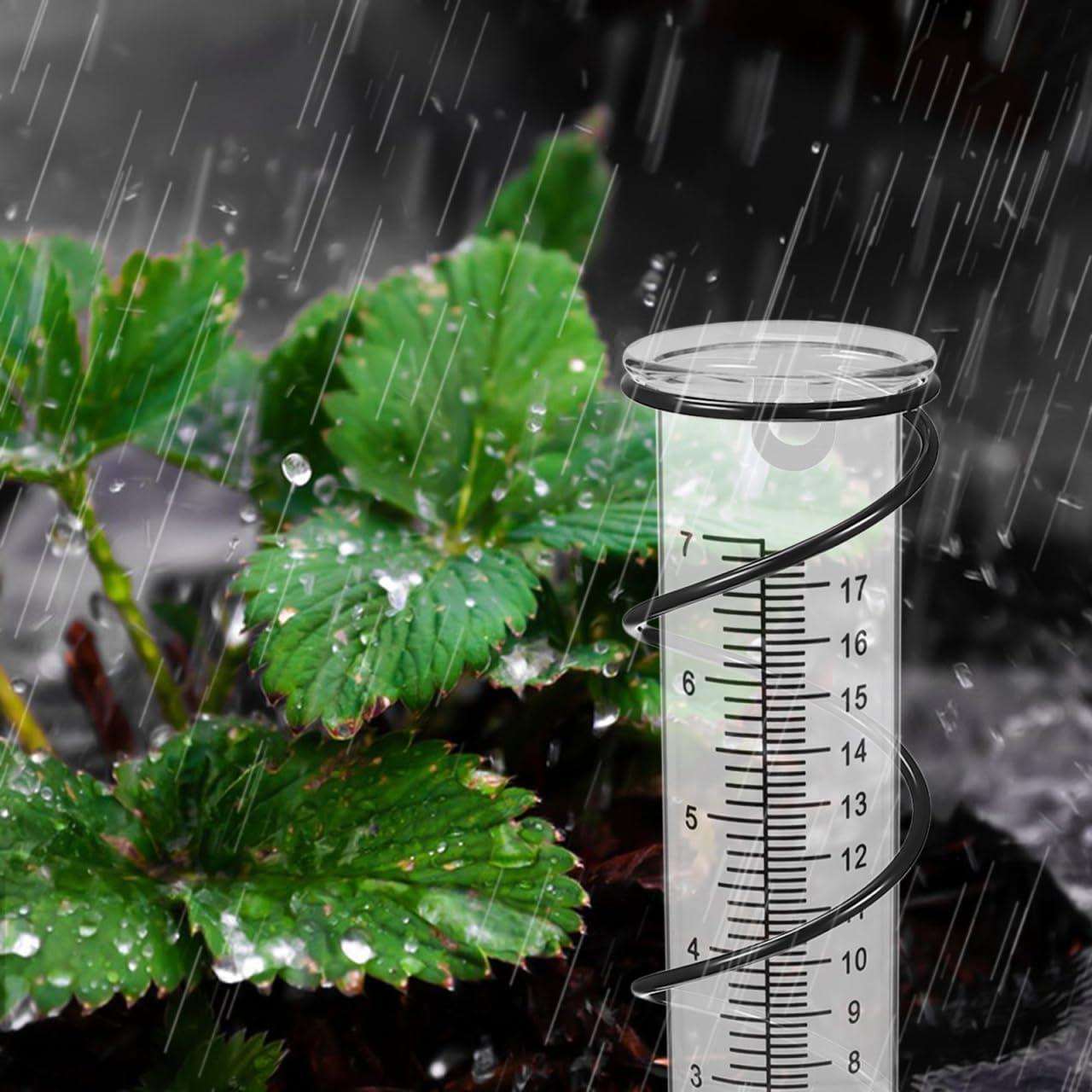 Tubo de Reemplazo para Pluviómetro Balacoo 20.93 cm Vidrio