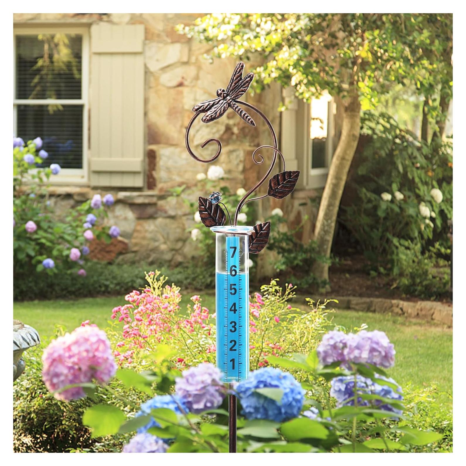 Pluviometro Decorativo Exterior WONDER GARDEN Libélula 89 cm