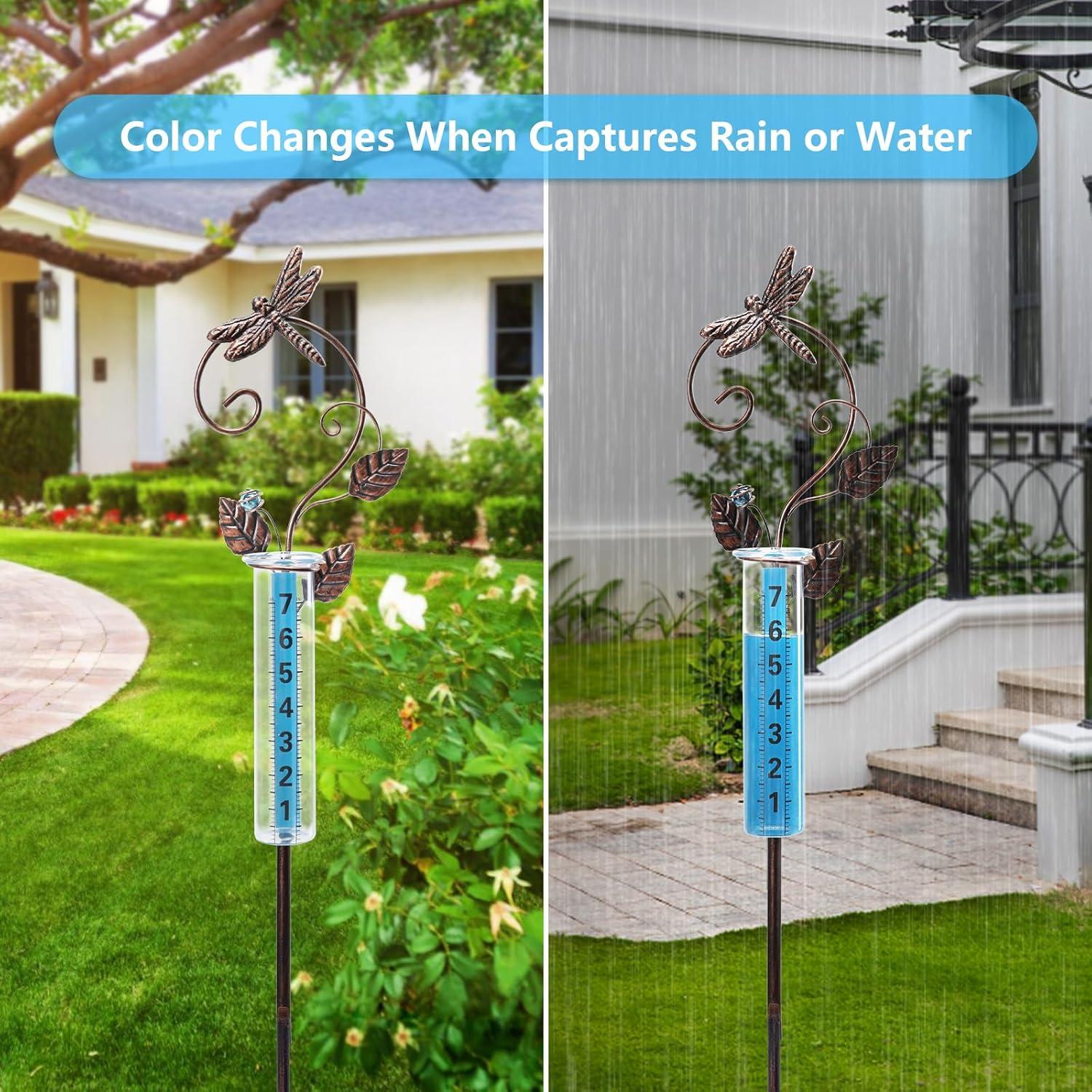 Pluviometro Decorativo Exterior WONDER GARDEN Libélula 89 cm