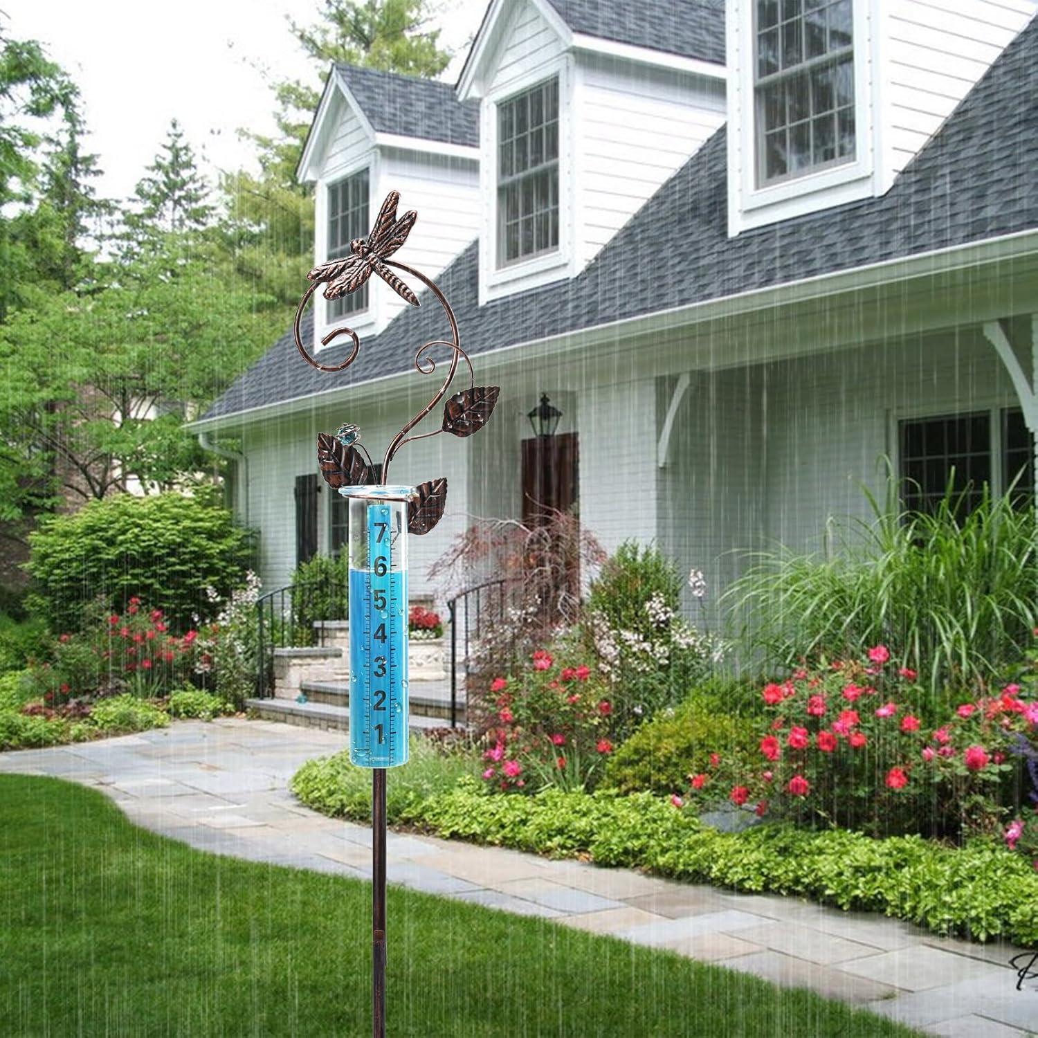 Pluviometro Decorativo Exterior WONDER GARDEN Libélula 89 cm