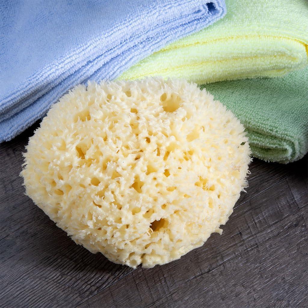 Esponja de Lana de Mar Jumbo Royal Brush 17.78 cm Natural