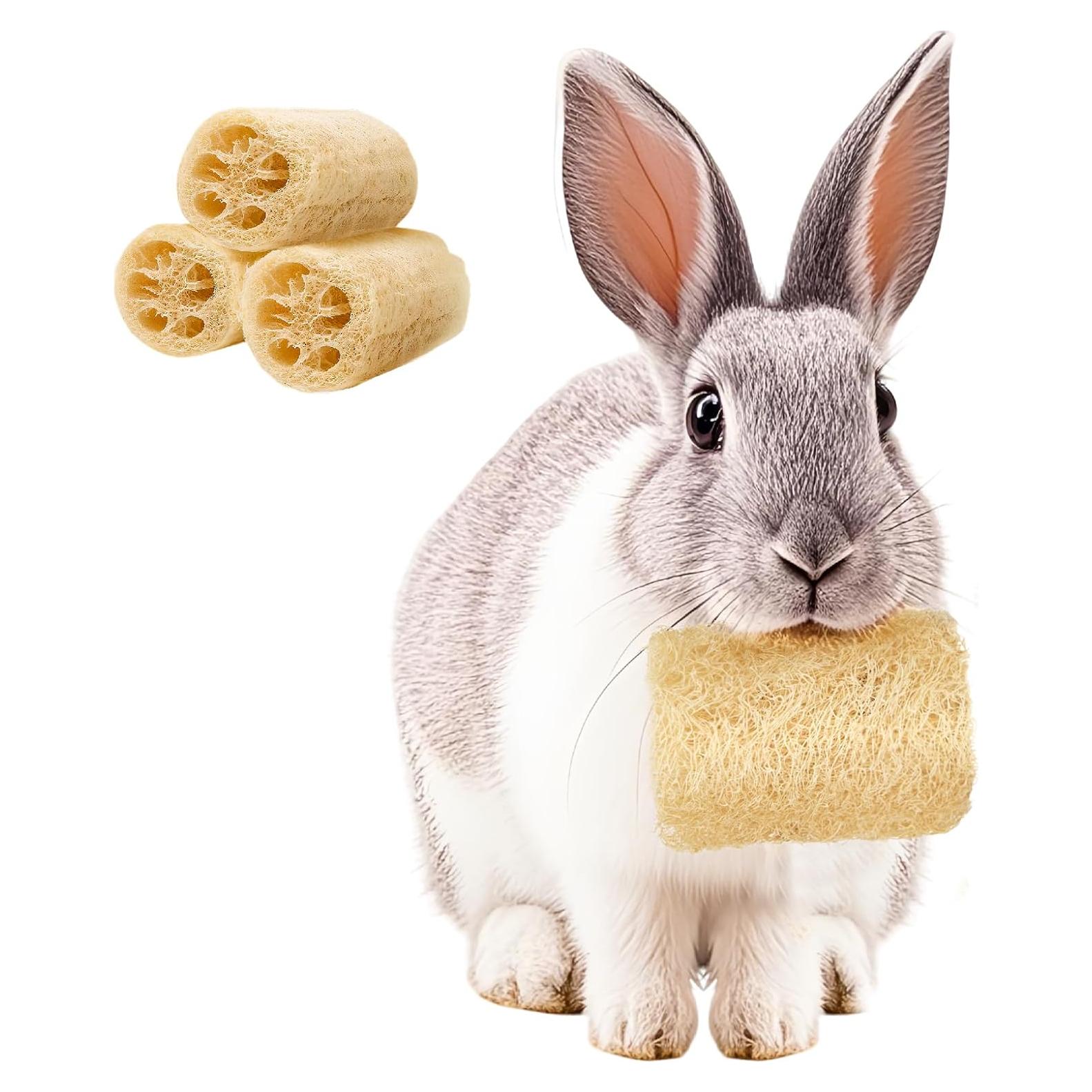 3 Juguetes de Masticar para Conejos BESNEW 100% Lufa Natural