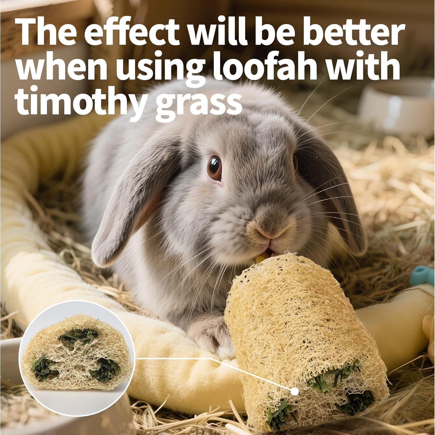 3 Juguetes de Masticar para Conejos BESNEW 100% Lufa Natural