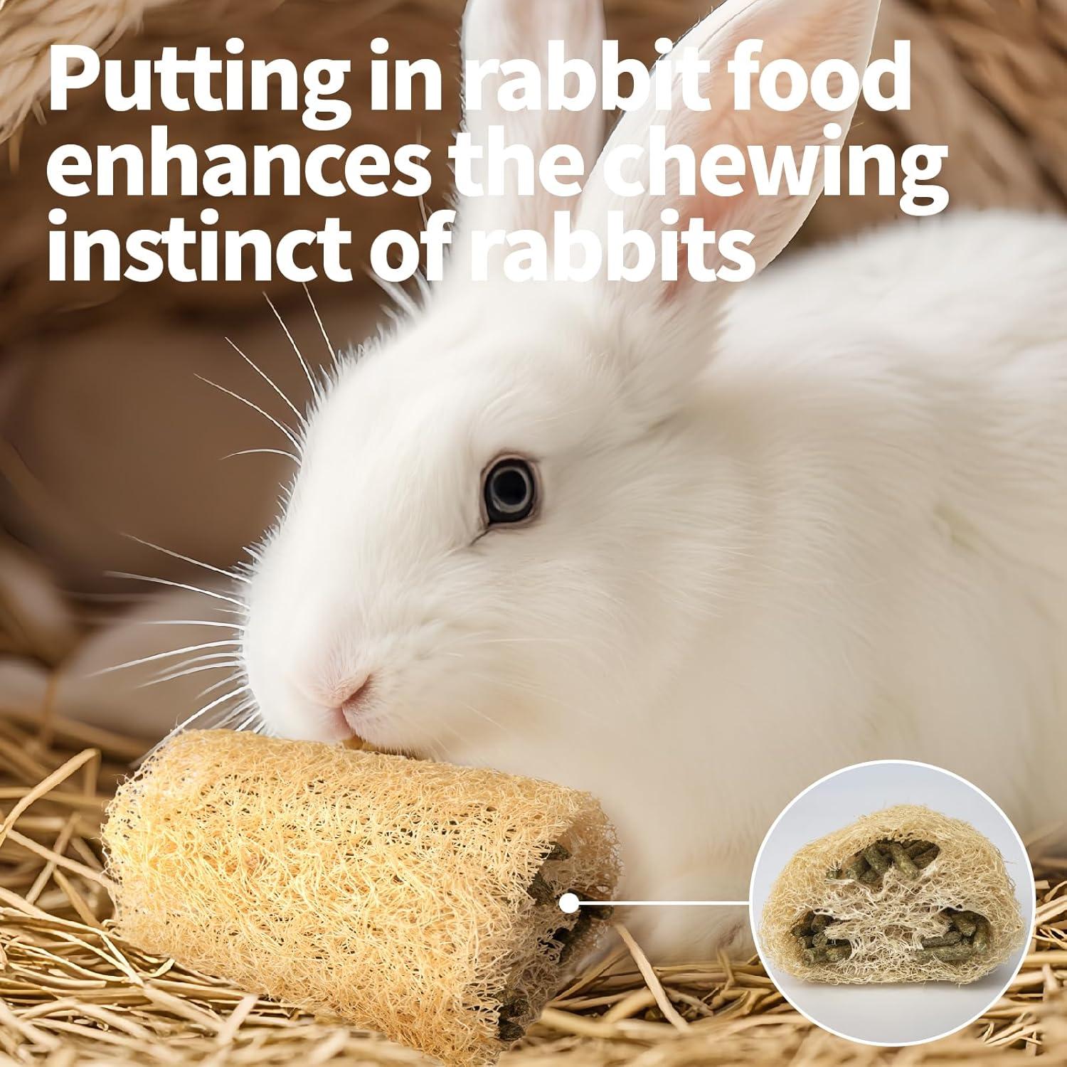 3 Juguetes de Masticar para Conejos BESNEW 100% Lufa Natural