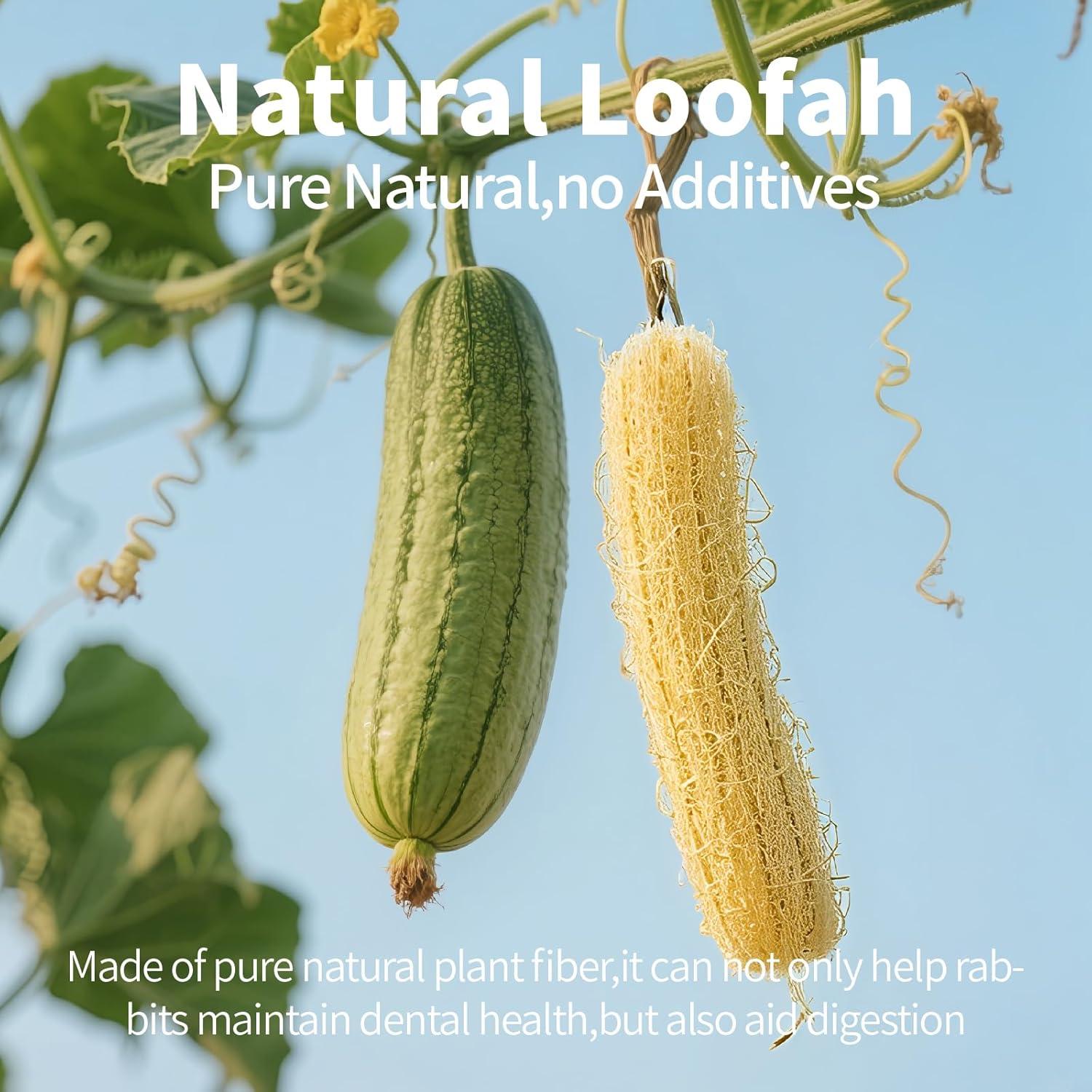 3 Juguetes de Masticar para Conejos BESNEW 100% Lufa Natural