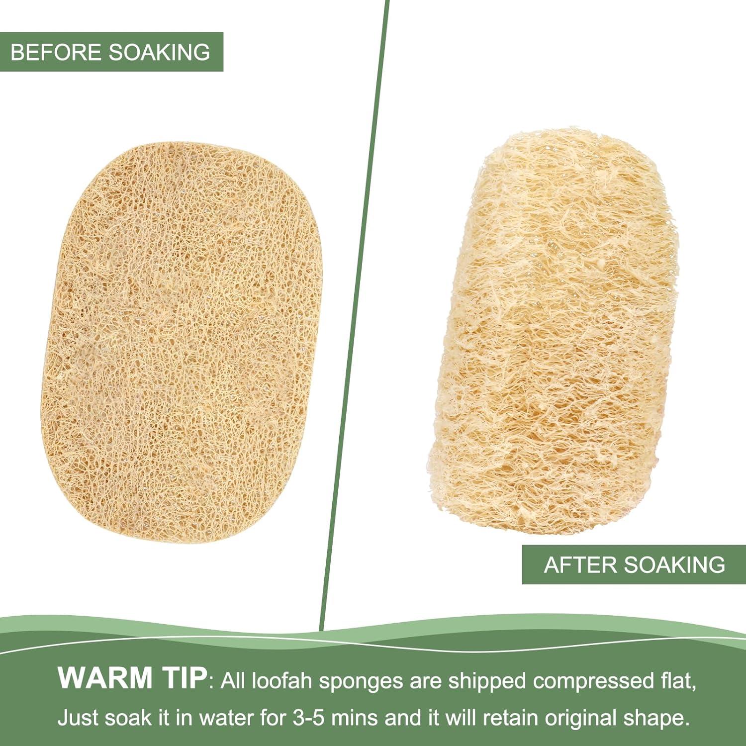 Esponjas de Lufa Natural YEMTAL, Paquete de 6 Biodegradables