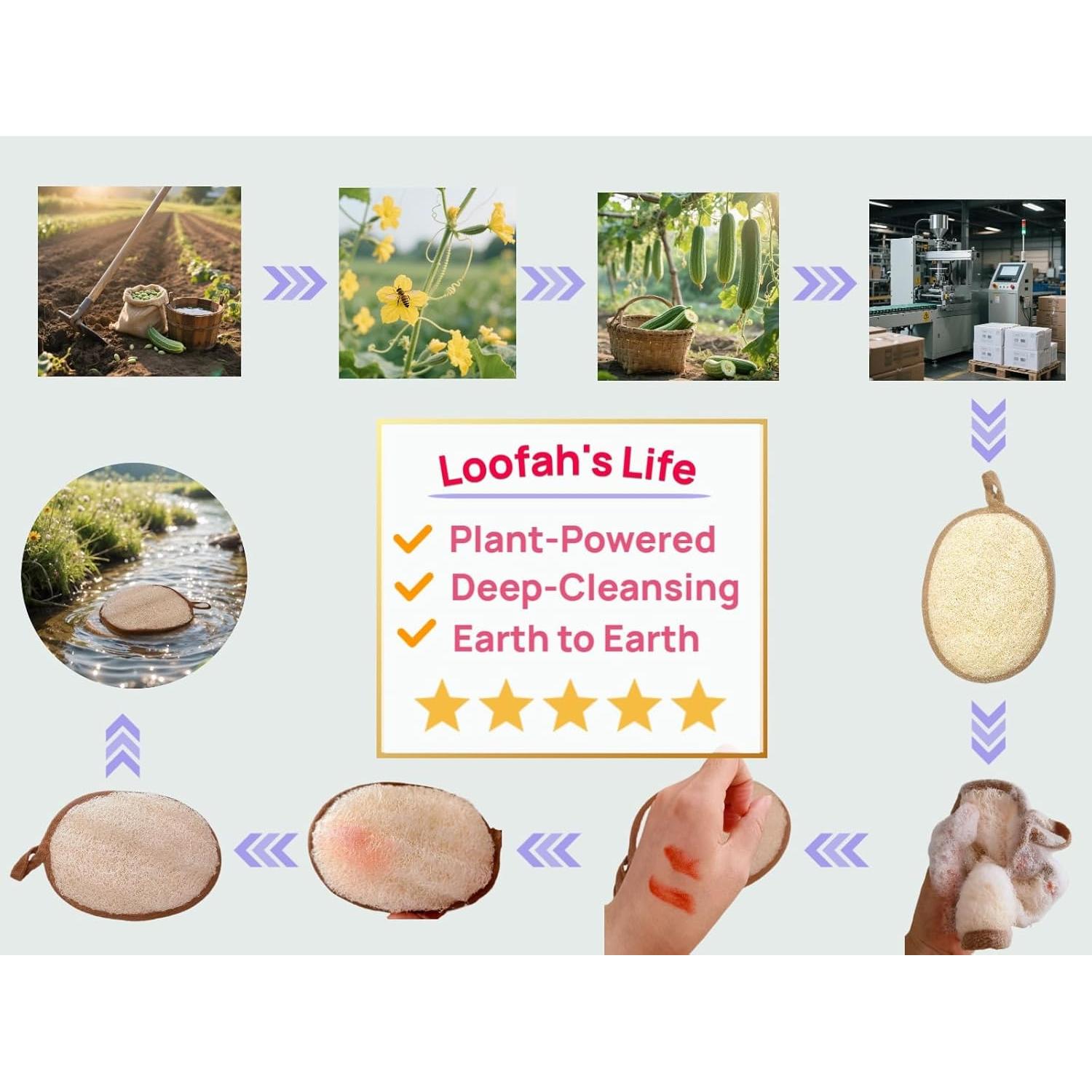 Juego de Esponjas de Lufa Natural FLC-Living Exfoliantes 2 Unidades