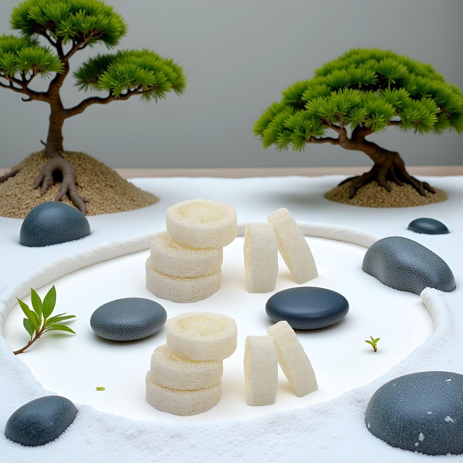 10 Rodajas de Lufa Blanca Natural para Jabón y Cuidado de Piel