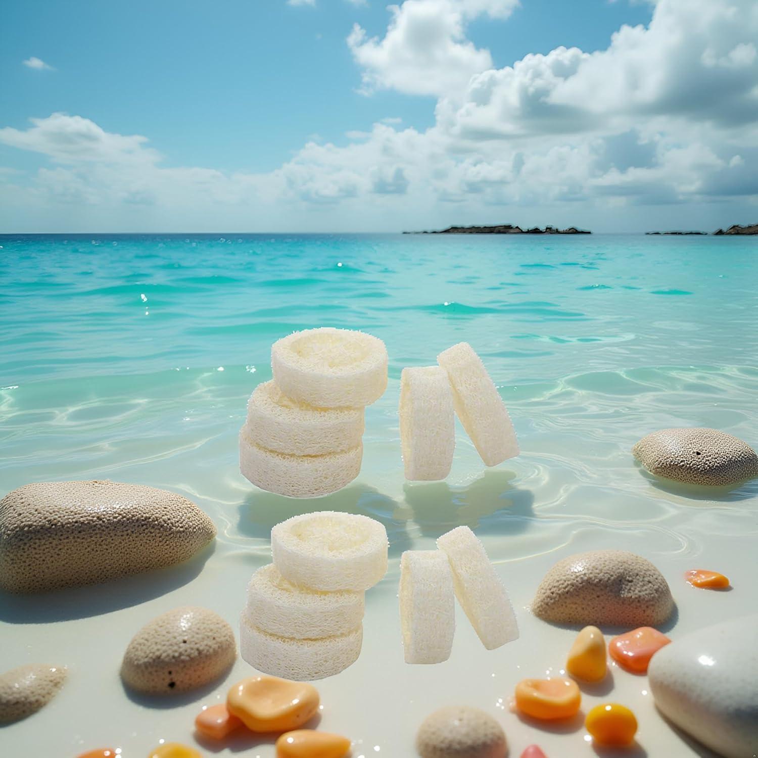 10 Rodajas de Lufa Blanca Natural para Jabón y Cuidado de Piel