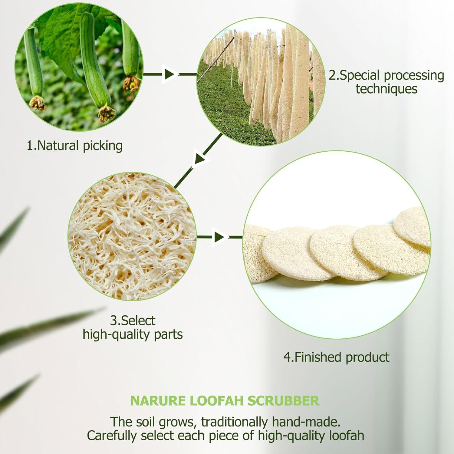 Paquete de 36 Esponjas de Lufa Natural Exfoliantes CINDALOG