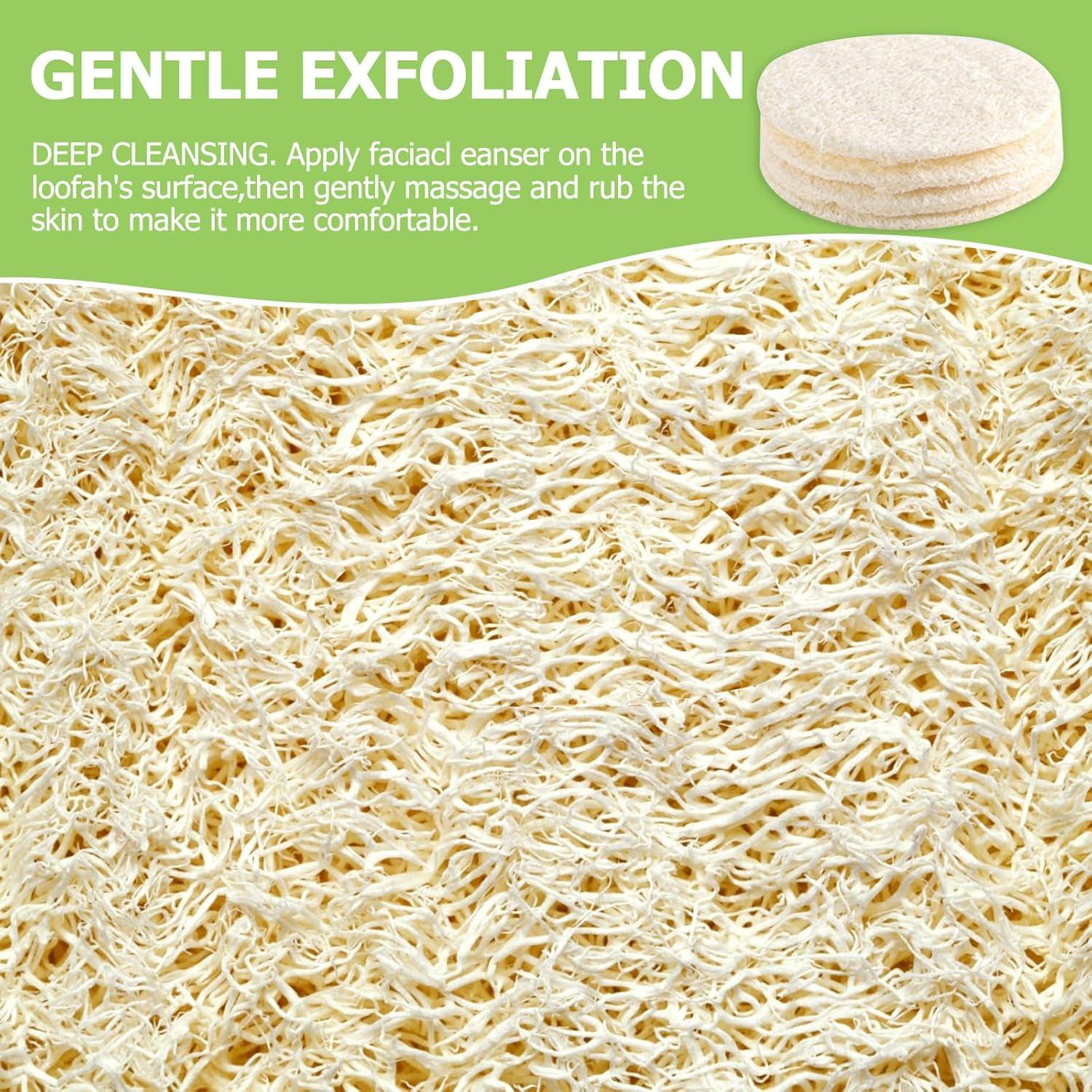 Paquete de 36 Esponjas de Lufa Natural Exfoliantes CINDALOG