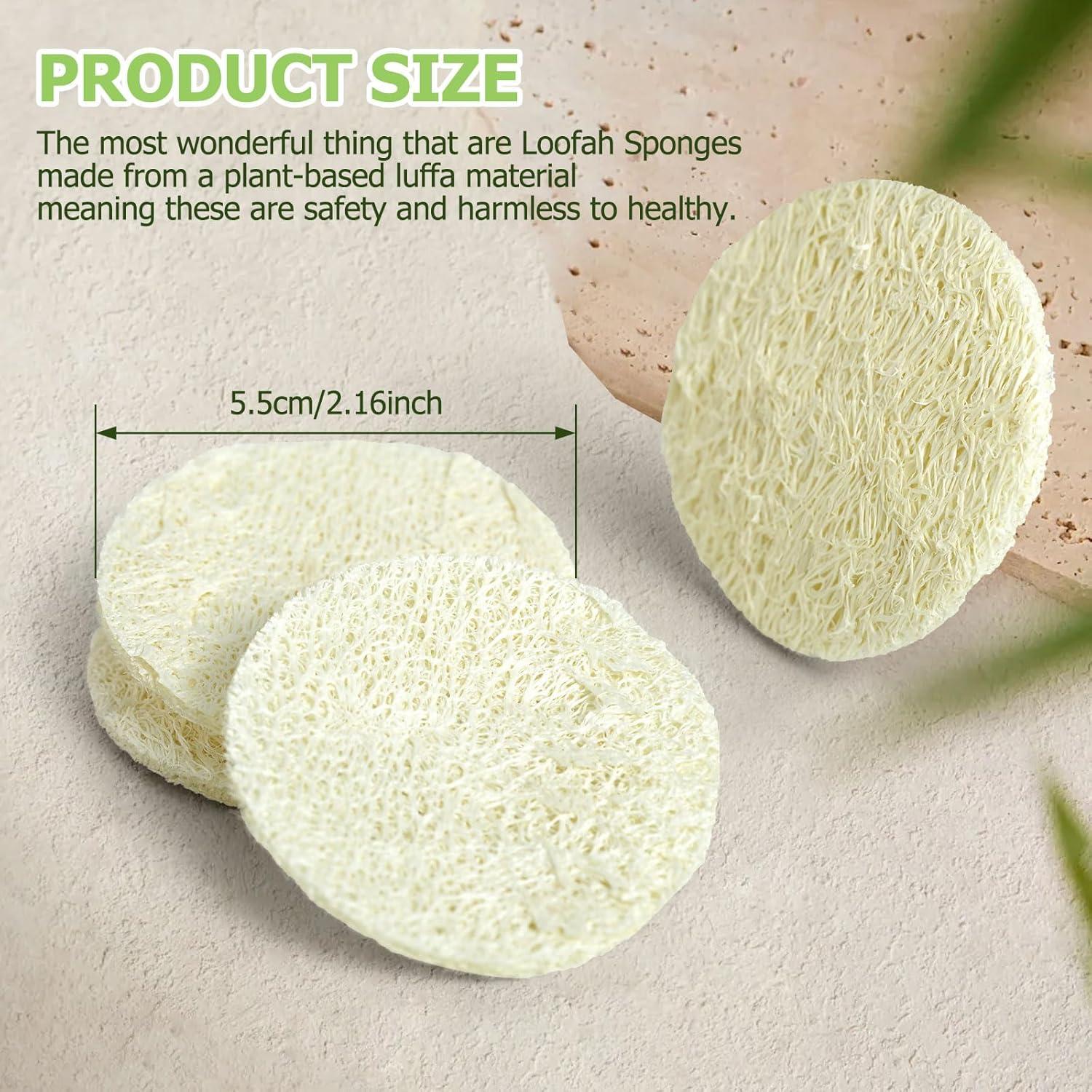 Paquete de 36 Esponjas de Lufa Natural Exfoliantes CINDALOG