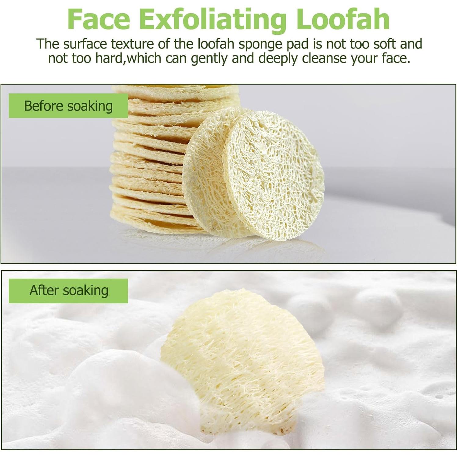 Paquete de 36 Esponjas de Lufa Natural Exfoliantes CINDALOG